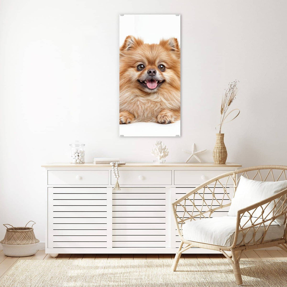 Glasbild Spitz und Katze an der Wand – Hellbrauner Zwergspitz mit heraushängender Zunge neben einer orange-weißen Katze