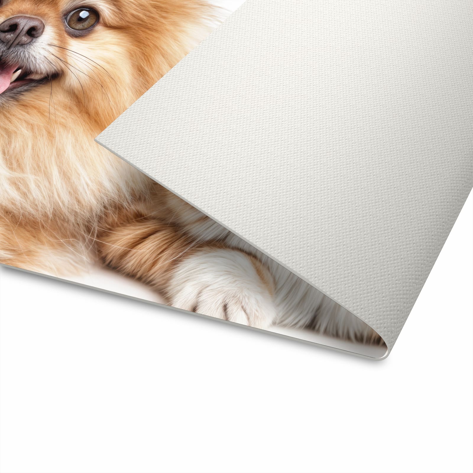 Ordnungsschaffender Teppichläufer Küche mit Motiv Hund und Katze in Unterseite