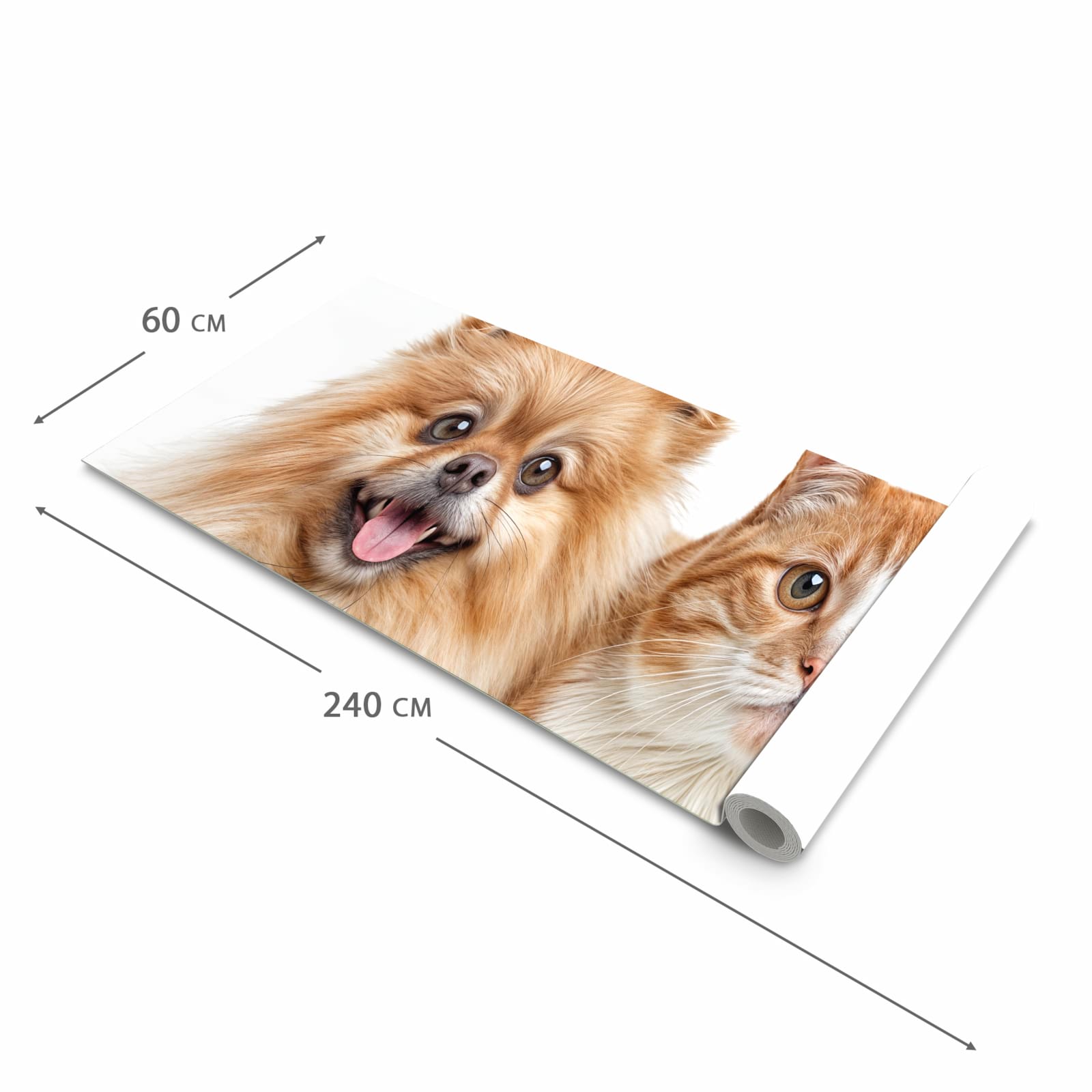 Flacher großer Küchenteppich mit Motiv Hund und Katze in der Größe 60x120 cm