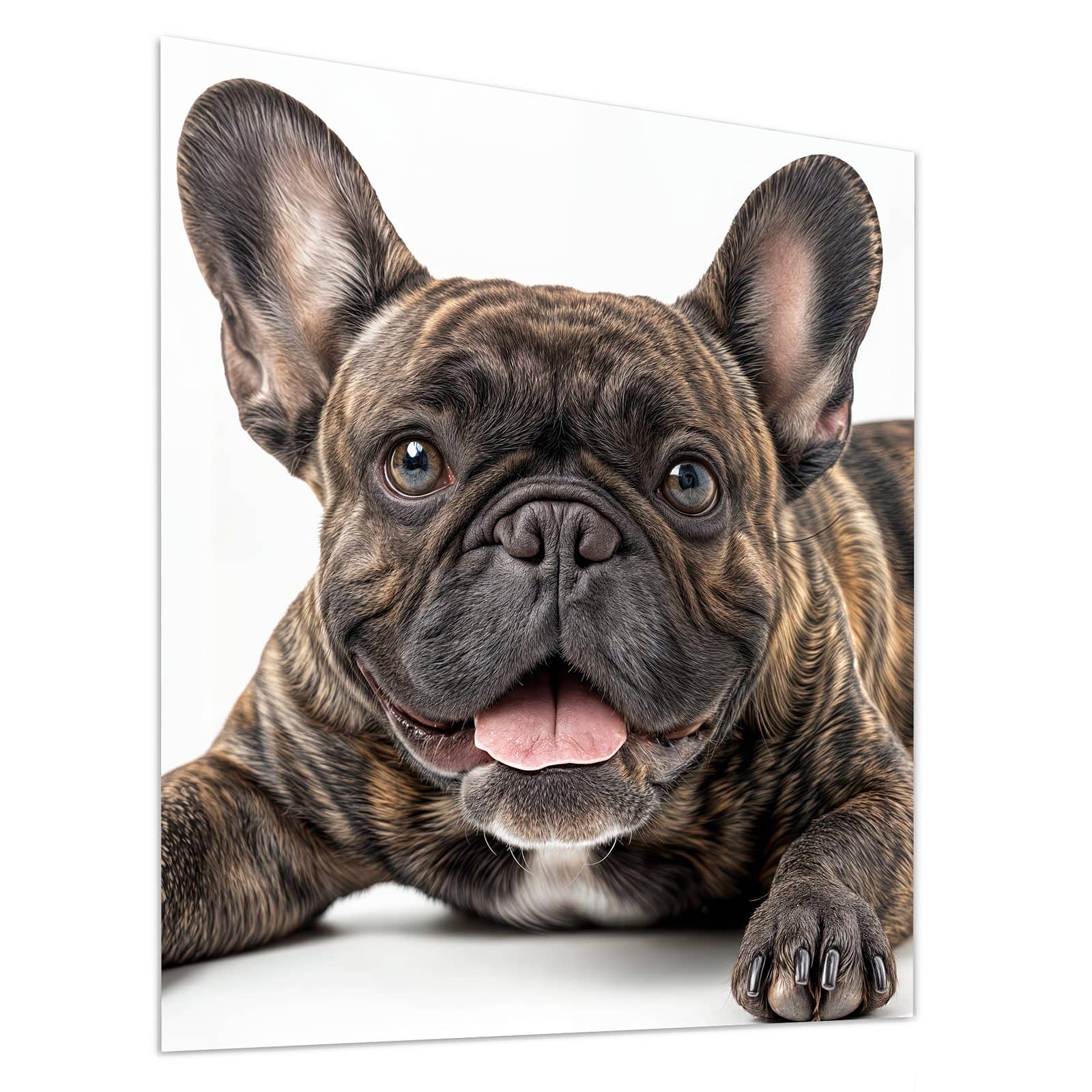 #grösse_90 x 100 cm