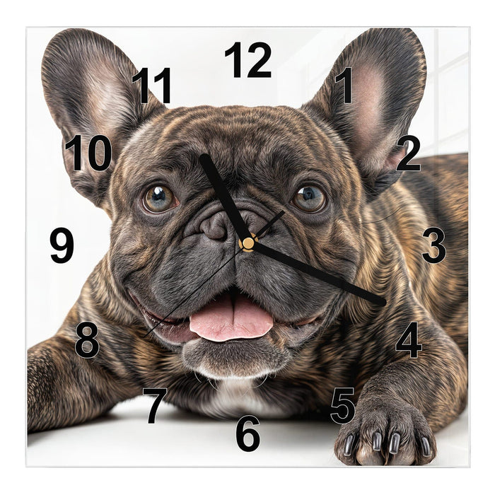 Wanduhr Französische Bulldogge Porträt aus Glas – Quadratisch 30 × 30 cm mit Ziffernblatt Modern