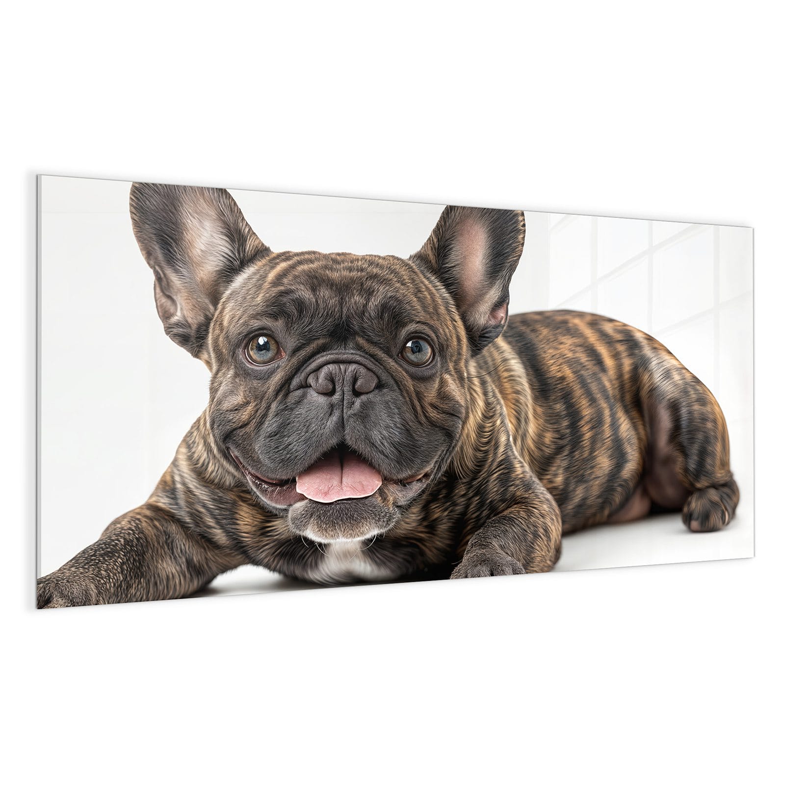 #grösse_100 x 50 cm