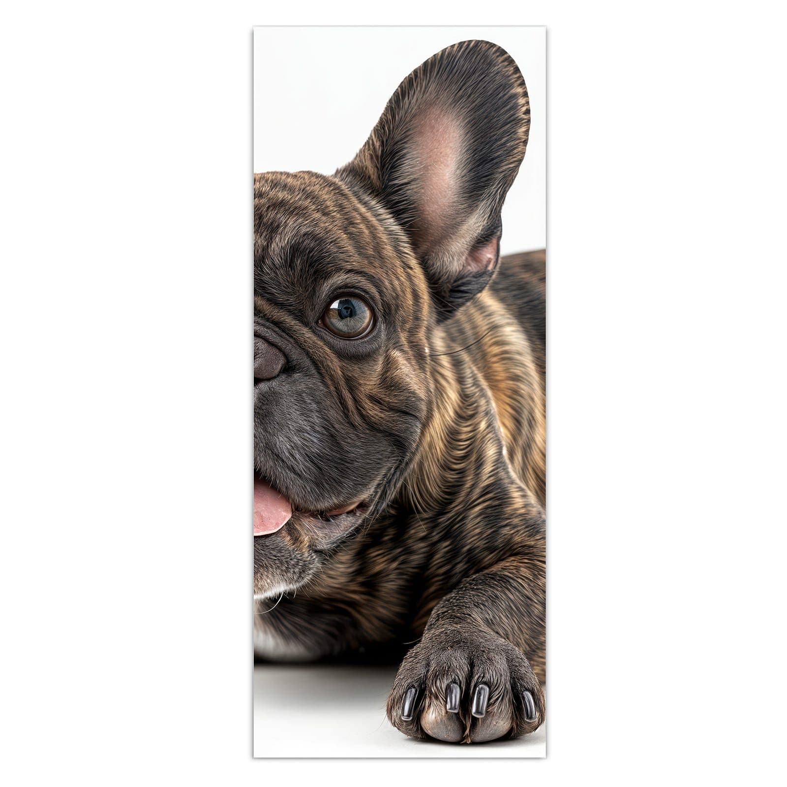 #grösse_50 x 125 cm #grösse_40 x 100 cm #grösse_60 x 150 cm