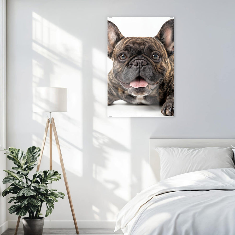 Maße Wandbild - Liegende Bulldogge - Hochformat