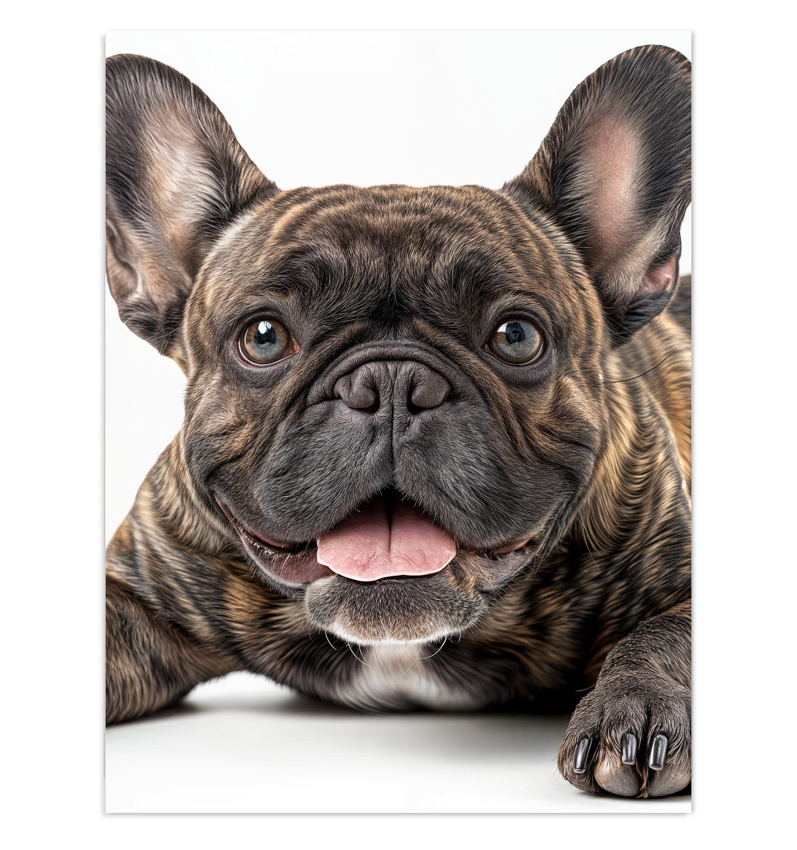 #grösse_30 x 40 cm #grösse_60 x 80 cm #grösse_75 x 100 cm