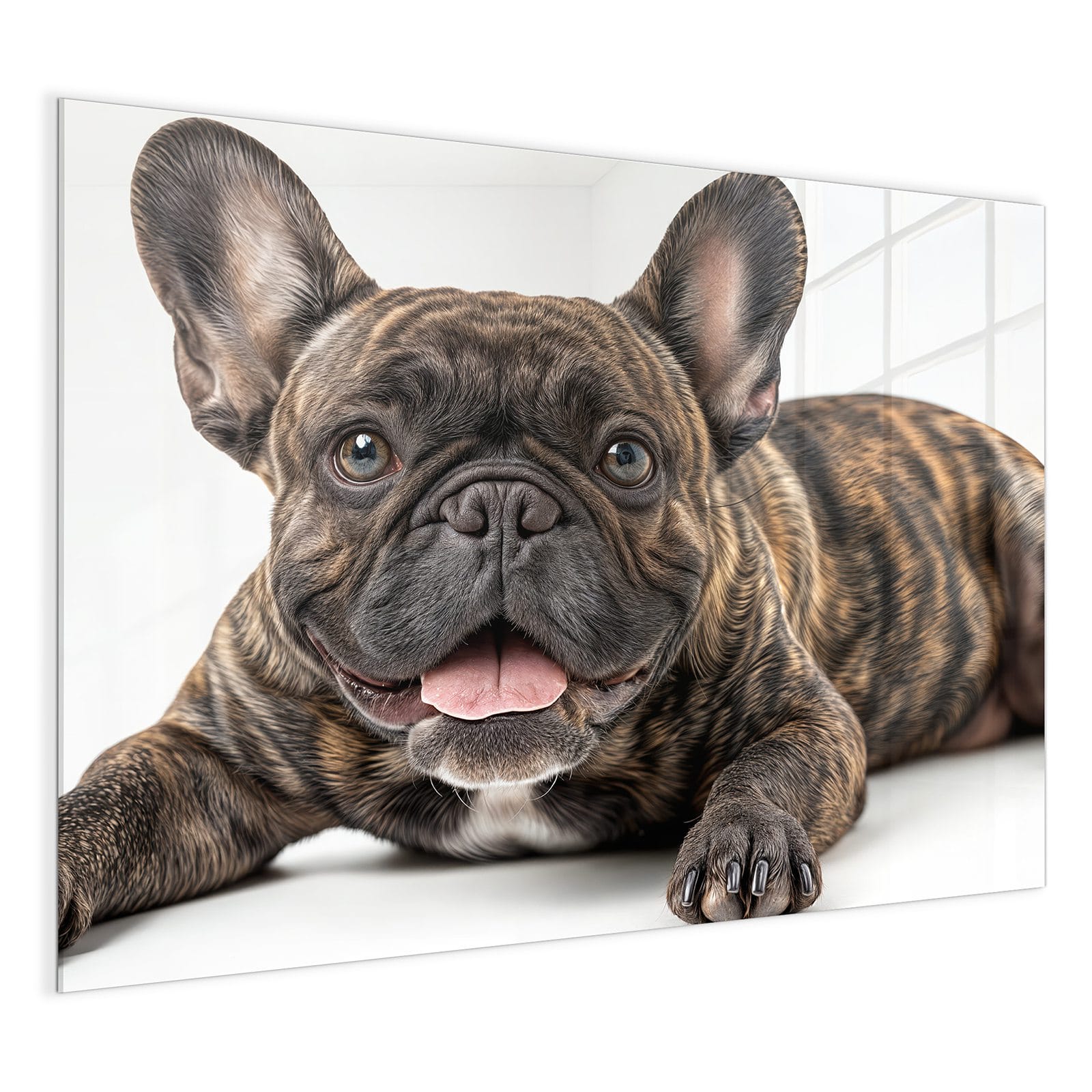 #grösse_120 x 90 cm