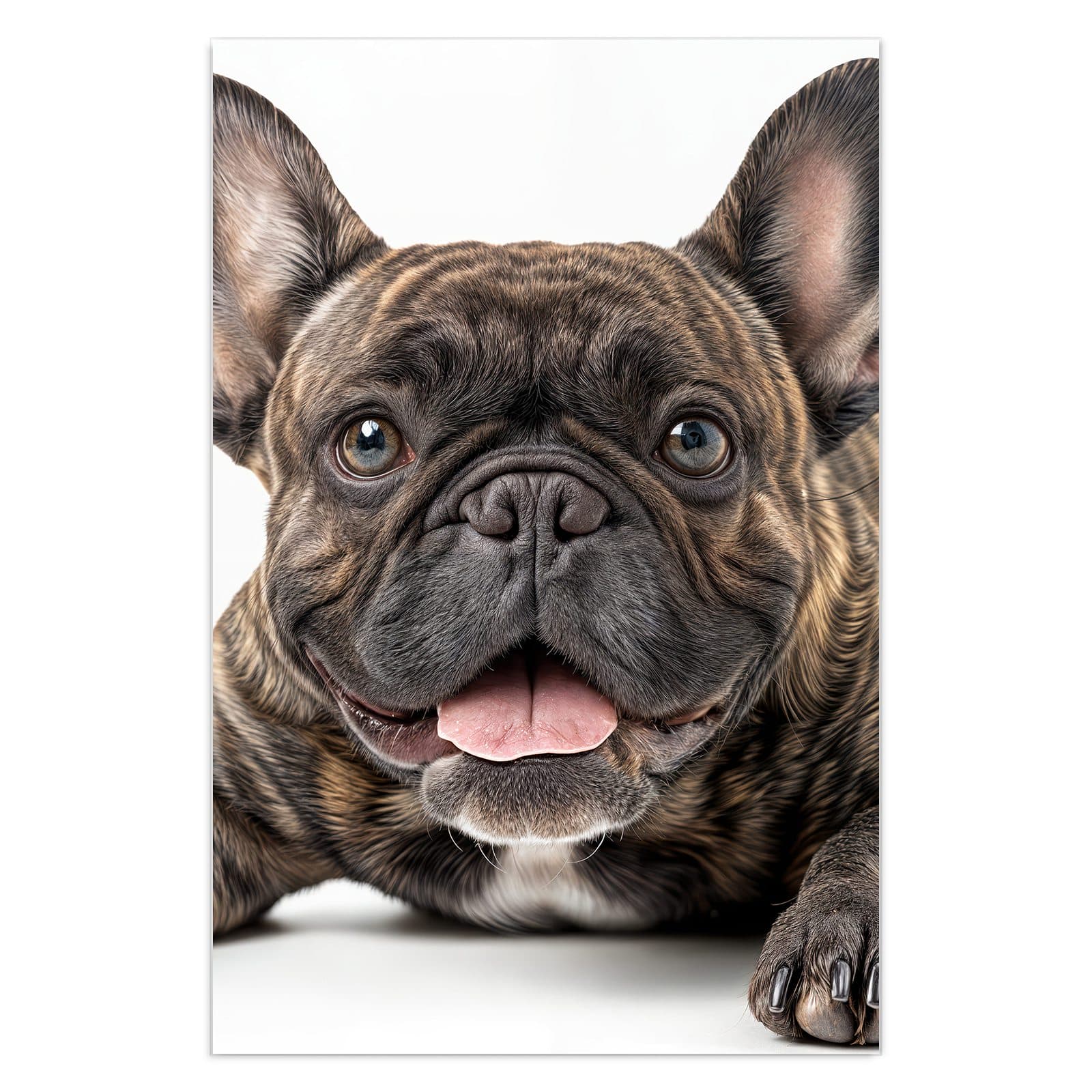 #grösse_40 x 60 cm #grösse_50 x 75 cm #grösse_60 x 90 cm