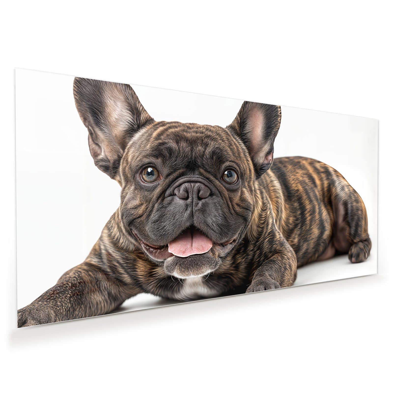 #grösse_60 x 30 cm #grösse_80 x 40 cm #grösse_100 x 50 cm #grösse_110 x 55 cm #grösse_120 x 60 cm