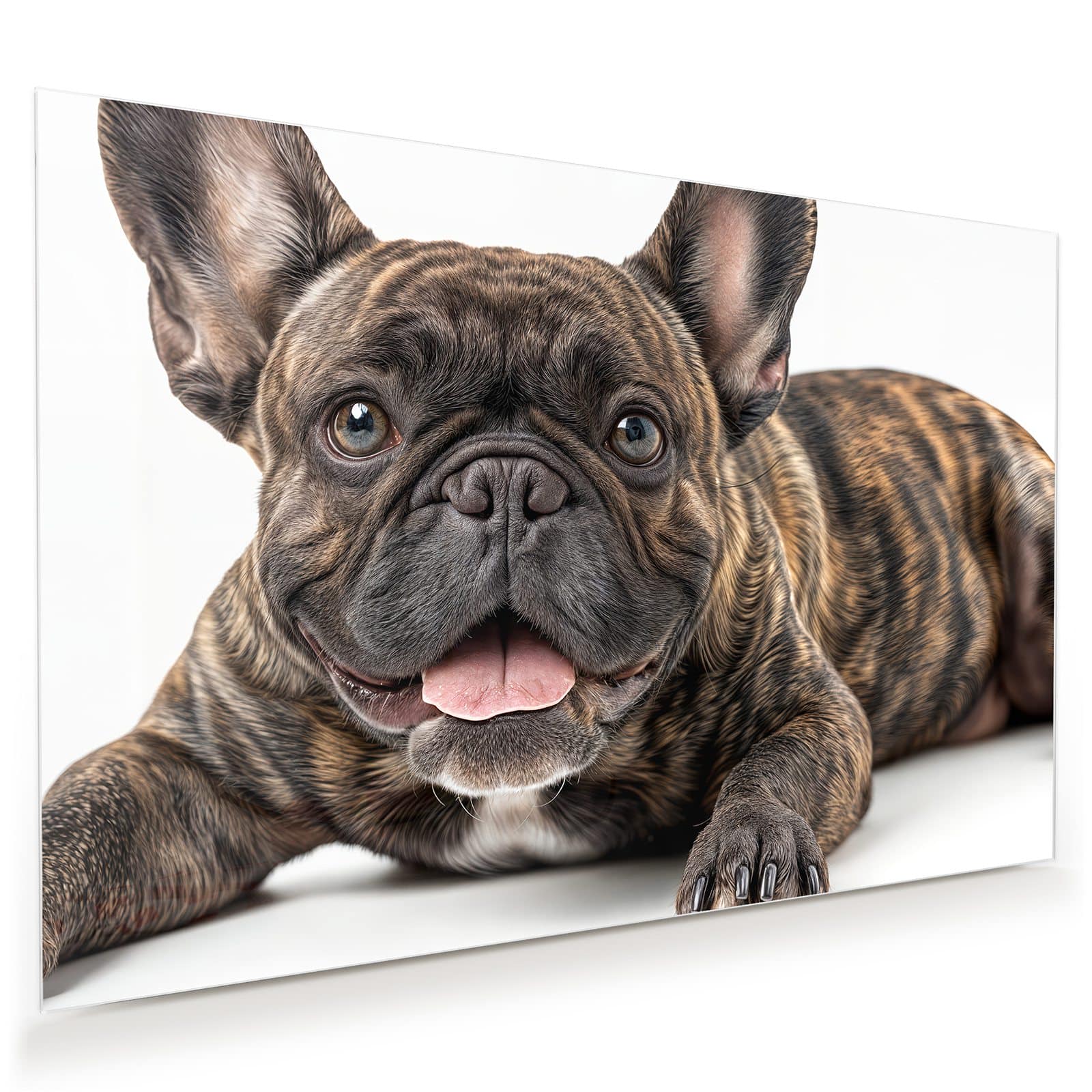 #grösse_45 x 30 cm #grösse_60 x 40 cm #grösse_75 x 50 cm #grösse_90 x 60 cm #grösse_120 x 80 cm