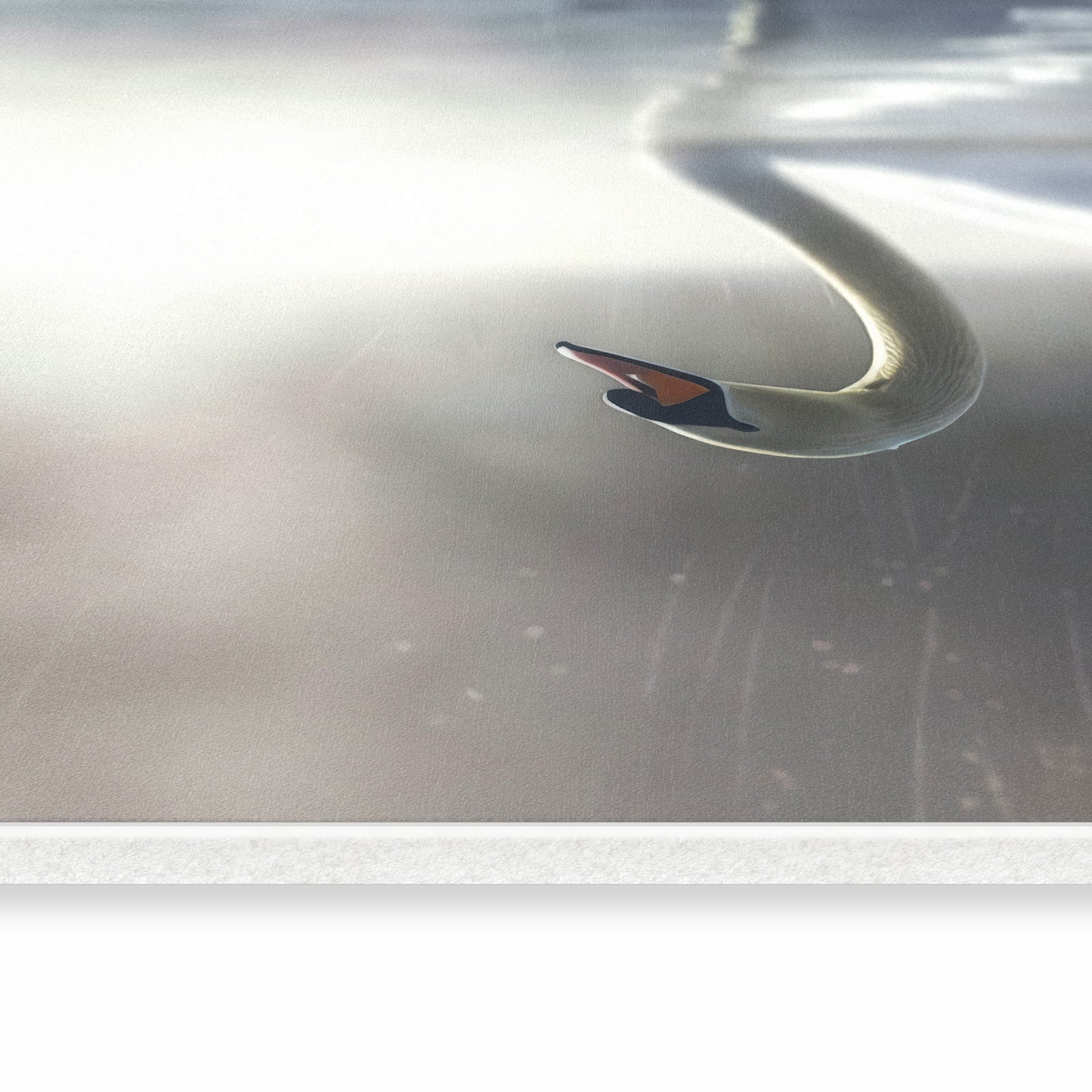 Komfortabler Küchenteppich mit Motiv Schwimmender Schwan in seitlicher Ansicht