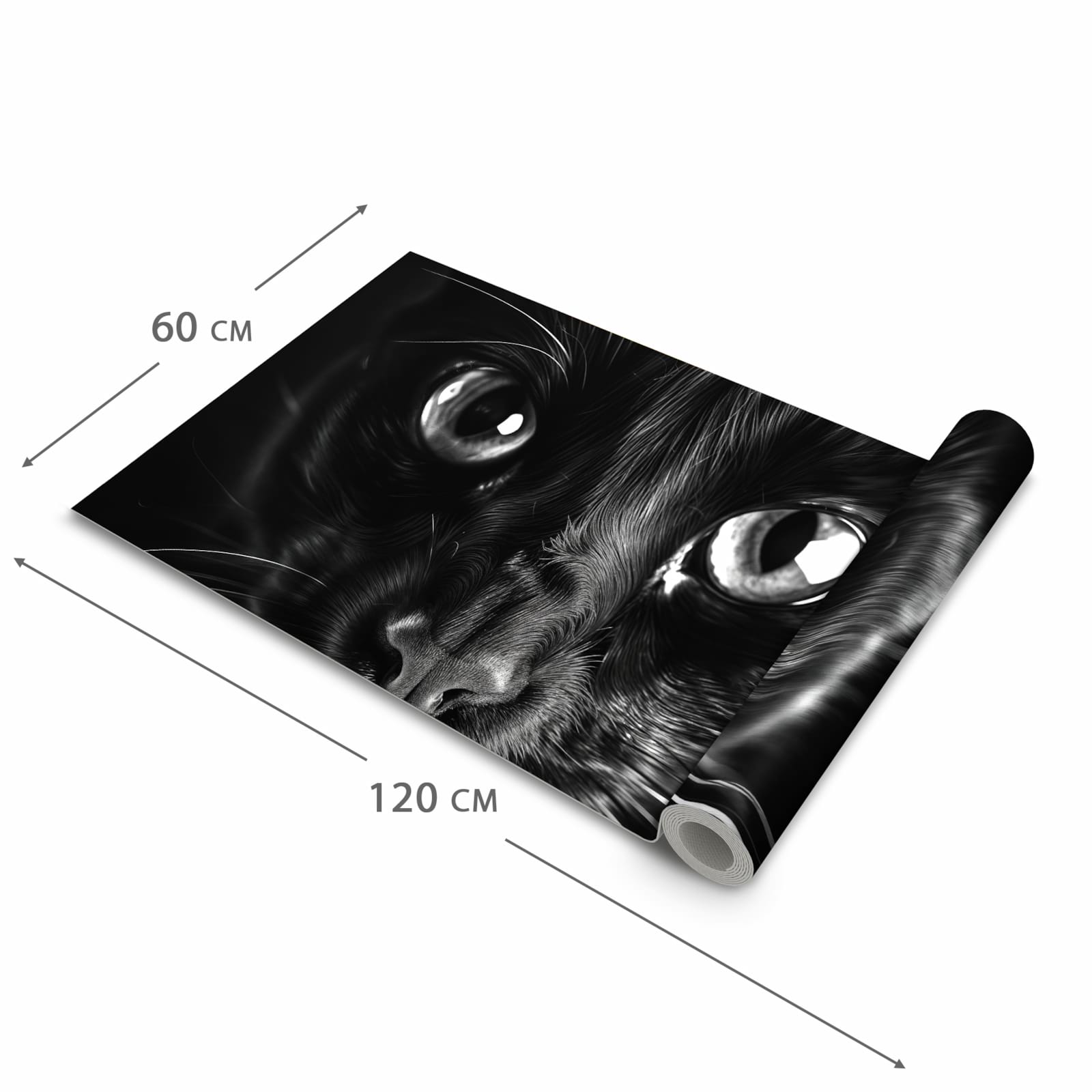 Schmutzabweisender Läufer Eingangsbereich mit Motiv Katzengesicht in der Grösse 90x240 cm