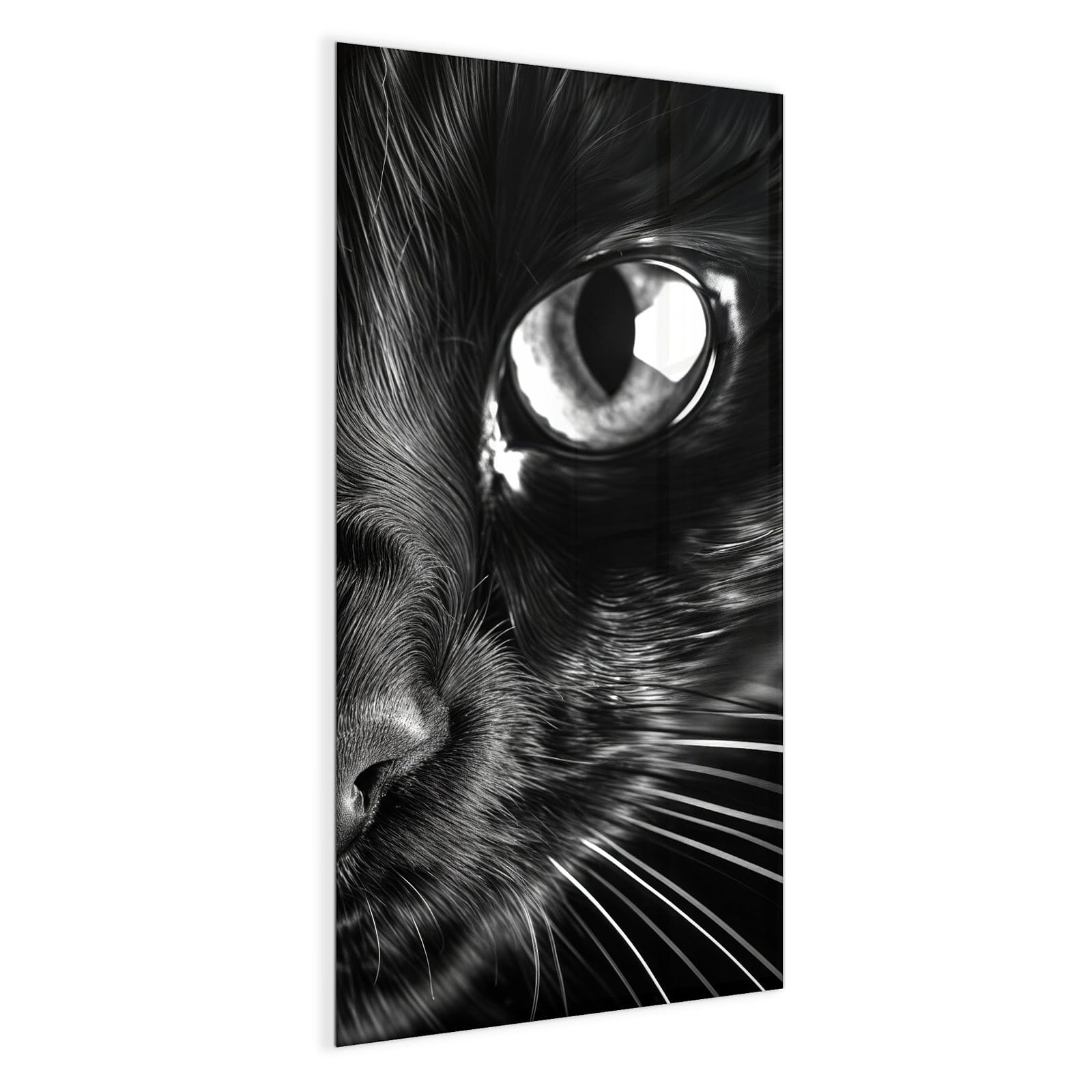 #grösse_50 x 100 cm