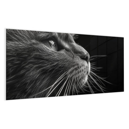 Glas Magnettafel mit dem Motiv Katze in Schwarzweiß