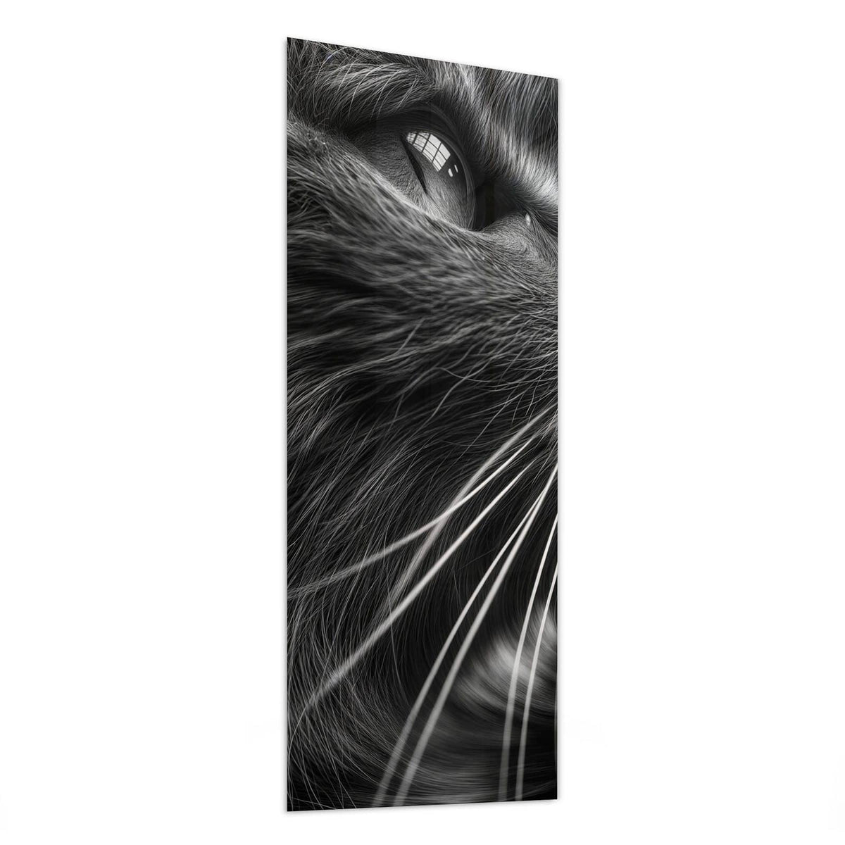 Glasbild Katze in Schwarzweiß von der Seite, 4 mm Echtglas