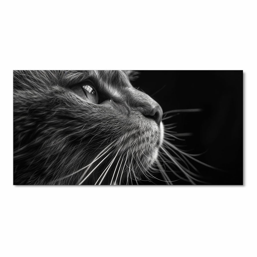 Maße Küchenläufer - Katze in Schwarzweiß