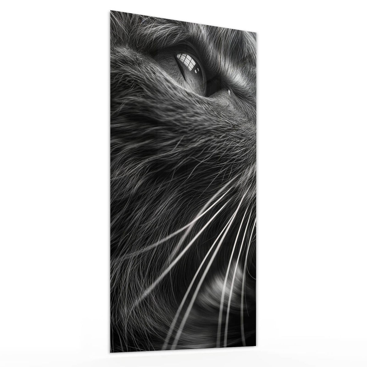 Glasbild Katze in Schwarzweiß von der Seite, 4 mm Echtglas