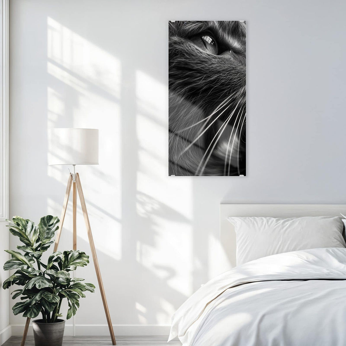 Glasbild Katze in Schwarzweiß an der Wand – Schwarzweiß-Nahaufnahme einer Katze, die nach oben blickt, lange helle Schnurrhaare
