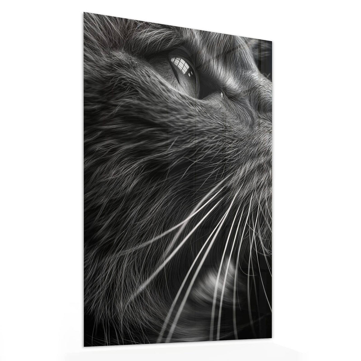 Glasbild Katze in Schwarzweiß von der Seite, 4 mm Echtglas