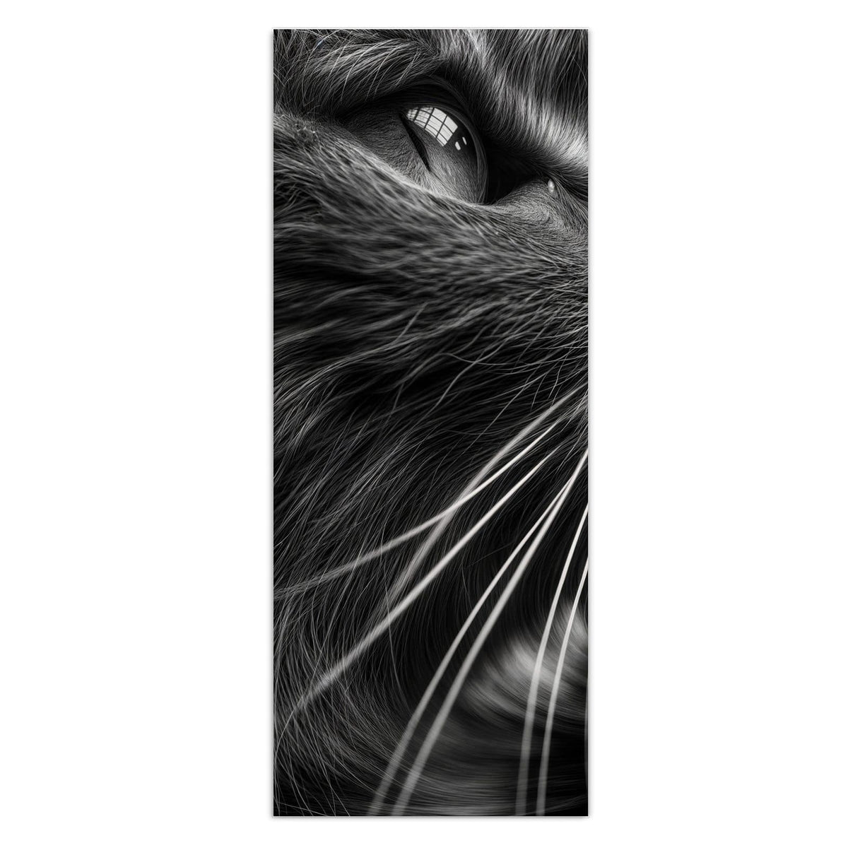Schwarzweiß-Nahaufnahme einer Katze, die nach oben blickt, lange helle Schnurrhaare