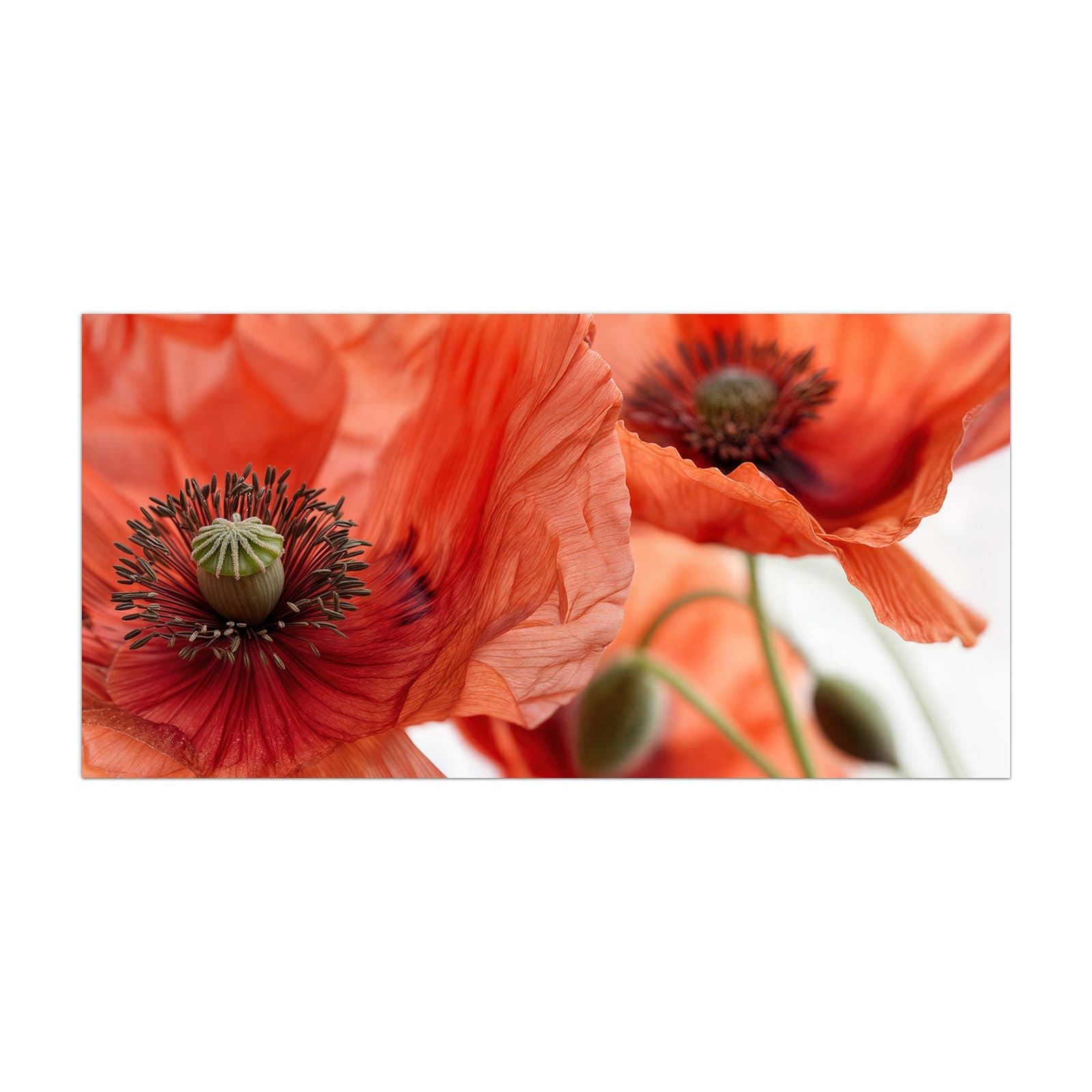 #grösse_40 x 80 cm #grösse_50 x 100 cm #grösse_55 x 110 cm #grösse_60 x 120 cm