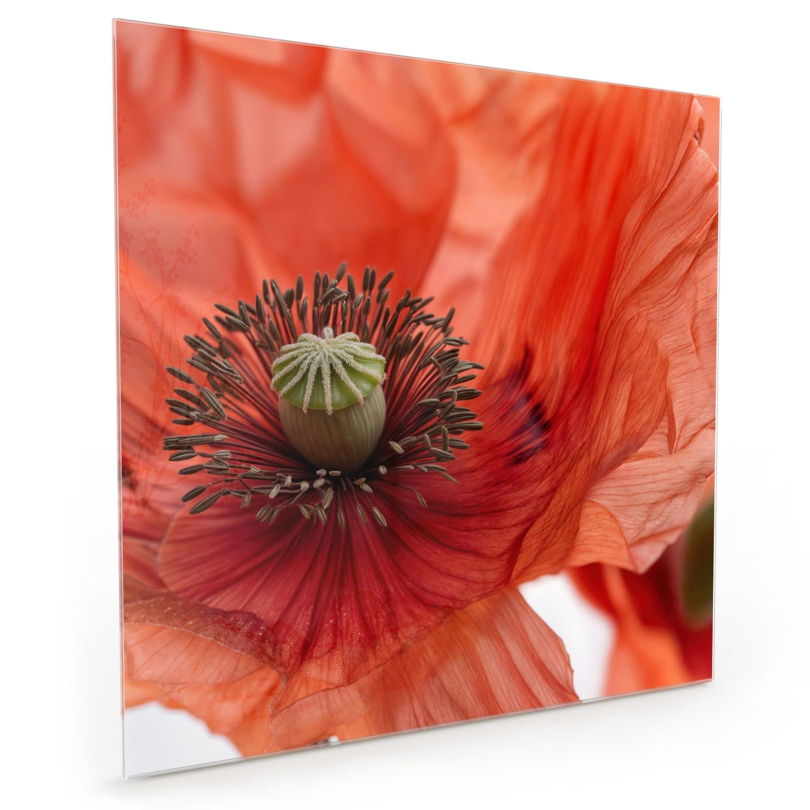 #70 x 70 cm_