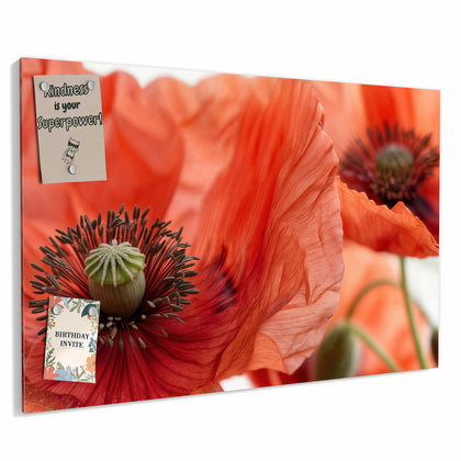 Metall Magnettafel mit dem Motiv Mohnblüten