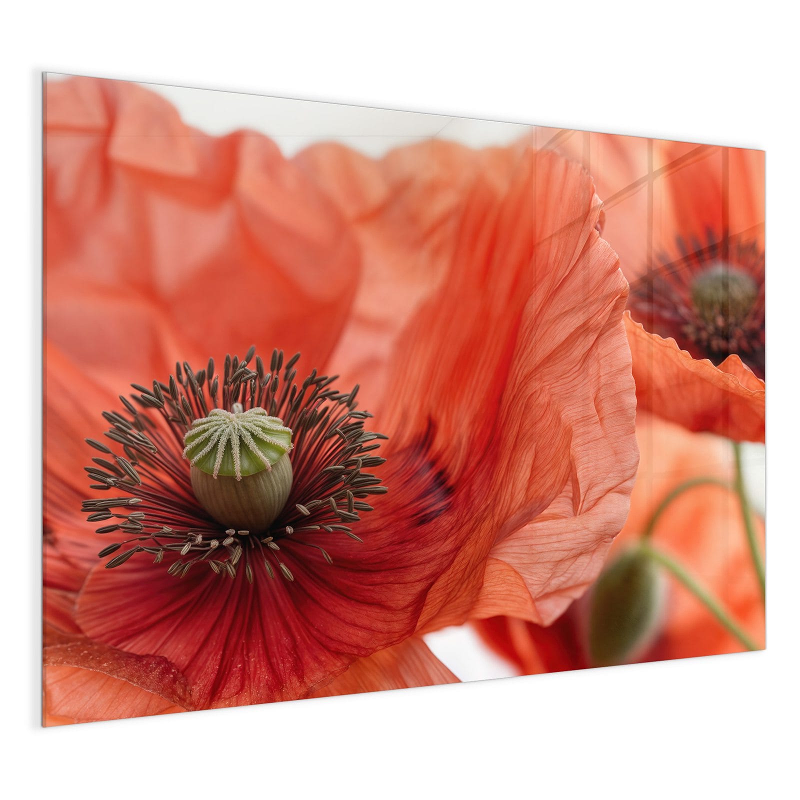 #grösse_120 x 90 cm