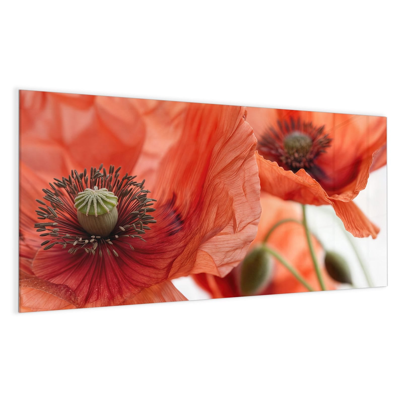 #grösse_100 x 50 cm