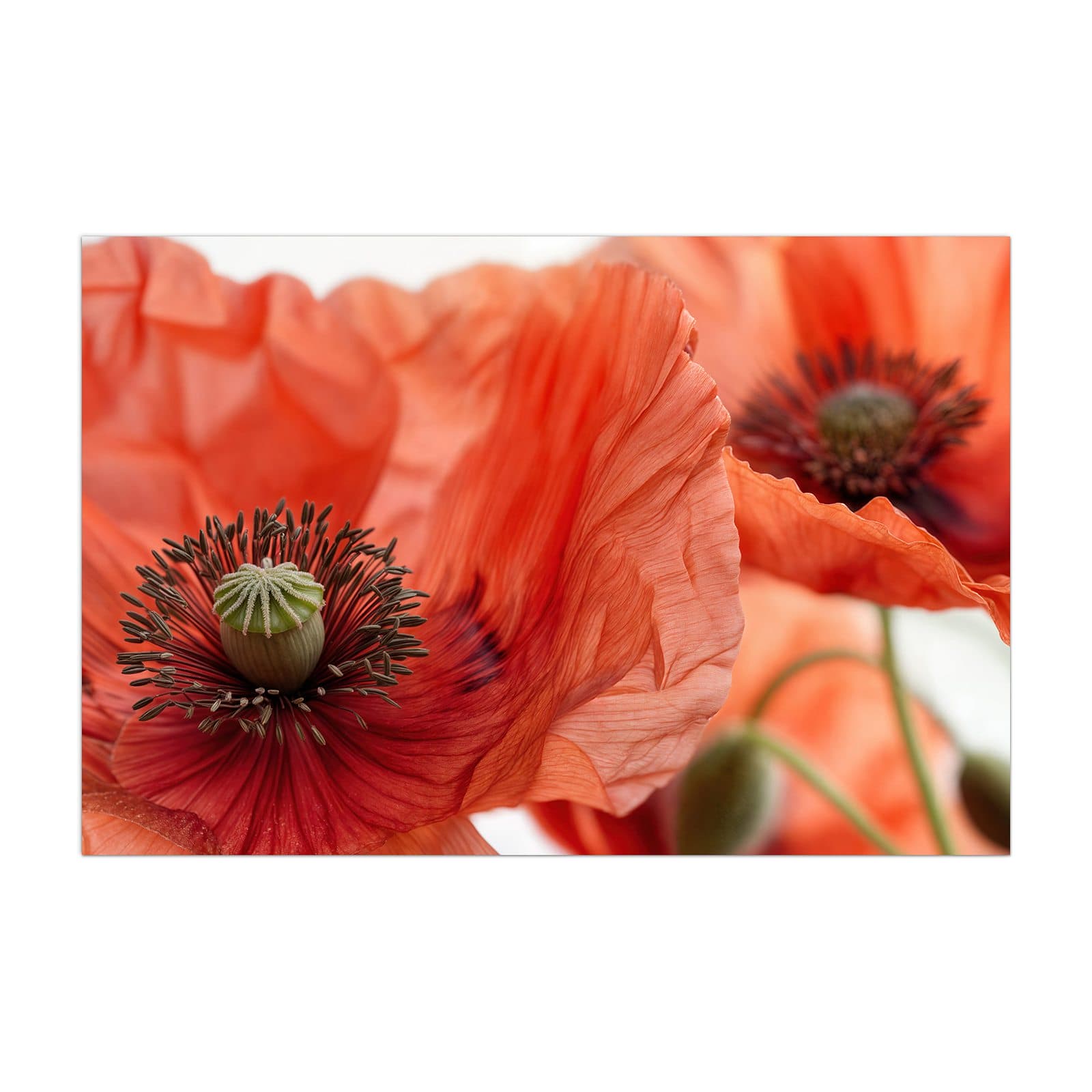 #grösse_40 x 60 cm #grösse_50 x 75 cm #grösse_60 x 90 cm #grösse_80 x 120 cm