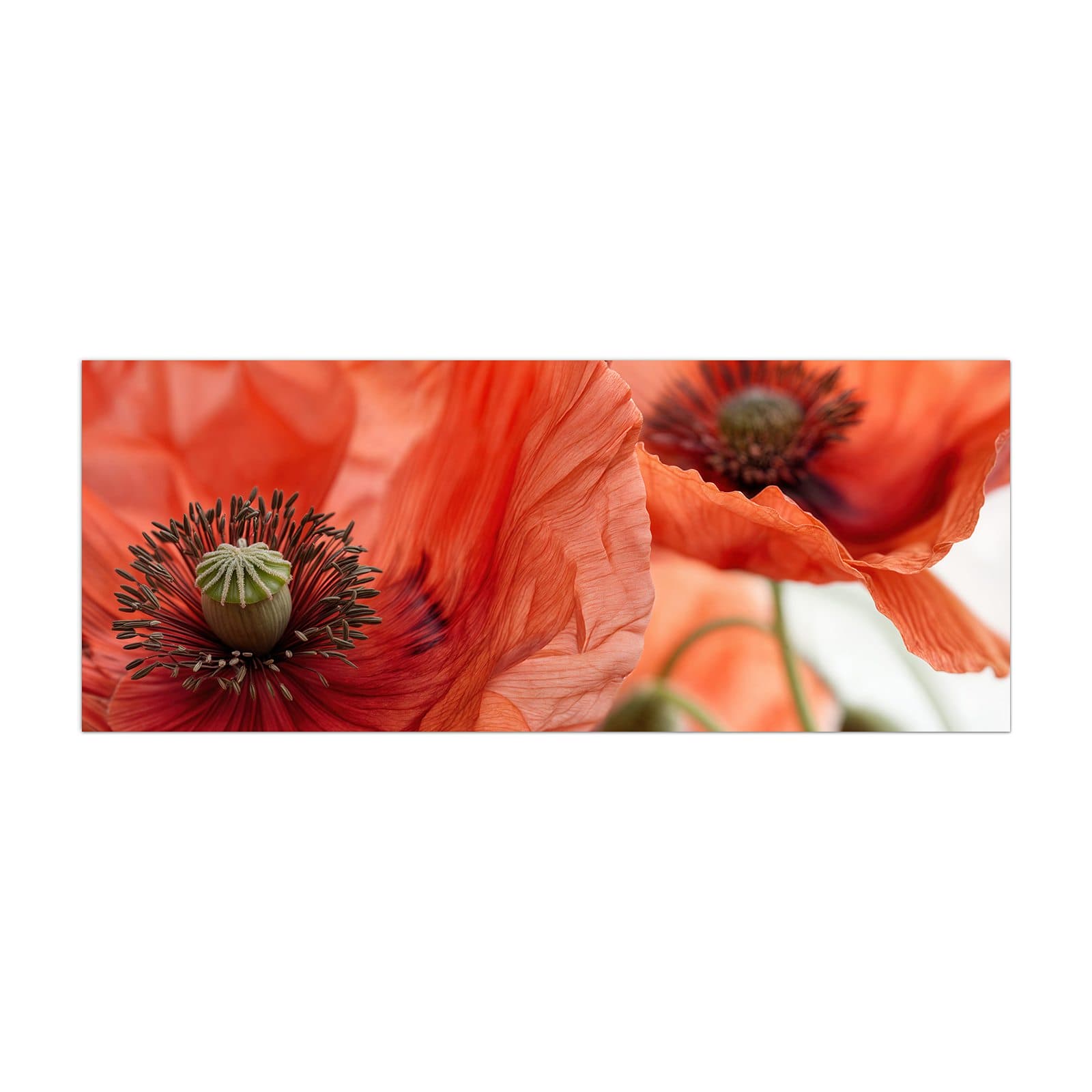 #grösse_40 x 100 cm #grösse_50 x 125 cm #grösse_60 x 150 cm