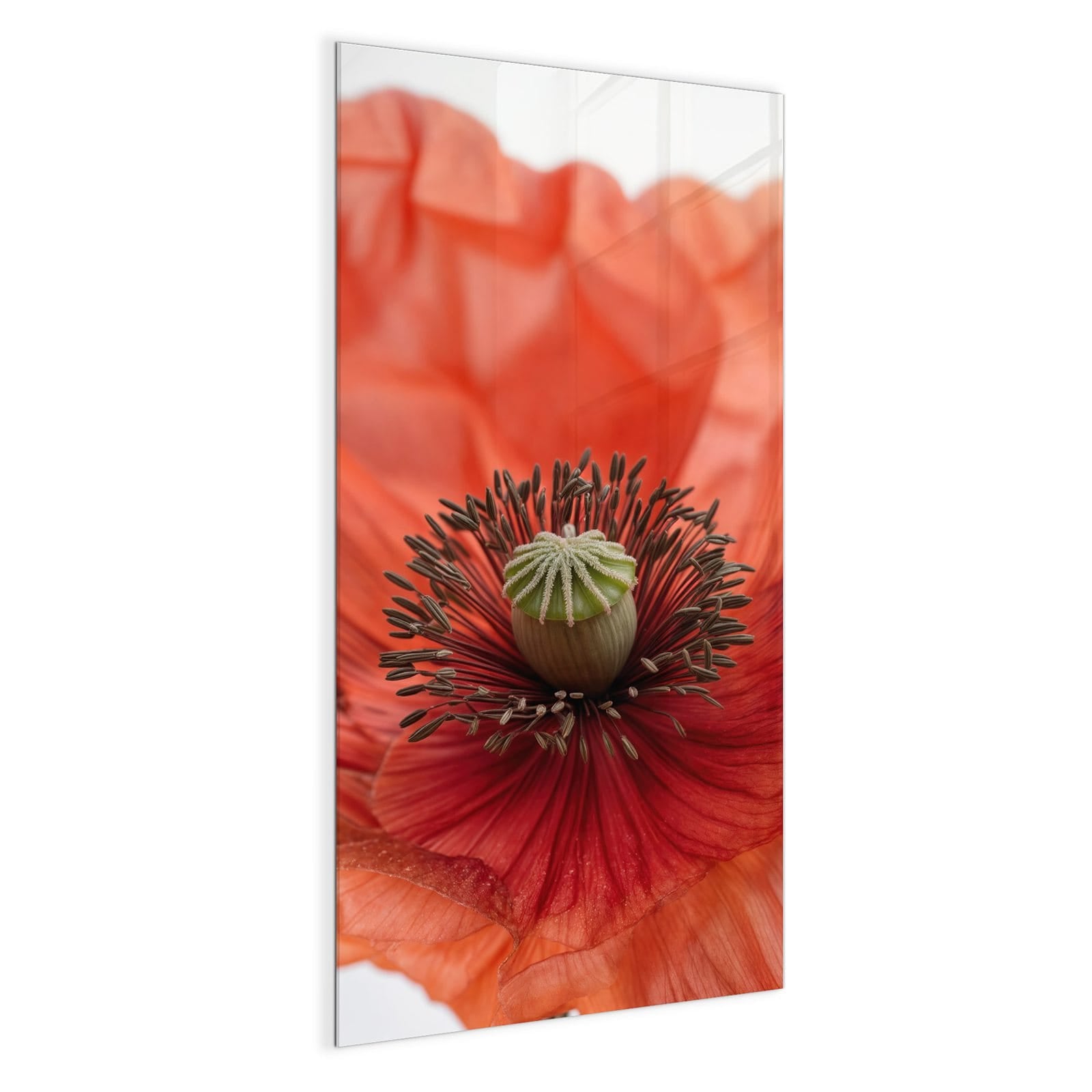 #grösse_50 x 100 cm