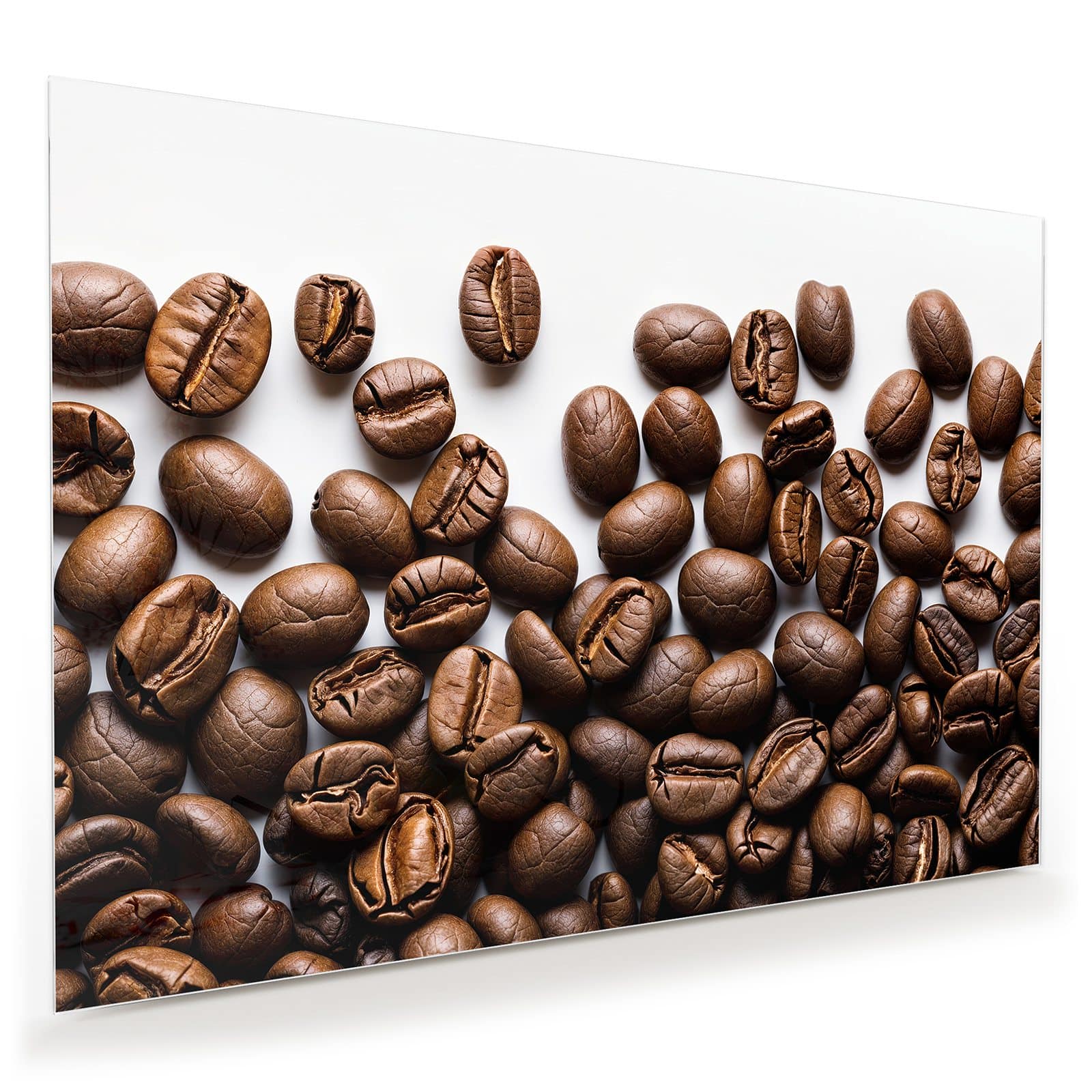 #grösse_100 x 70 cm