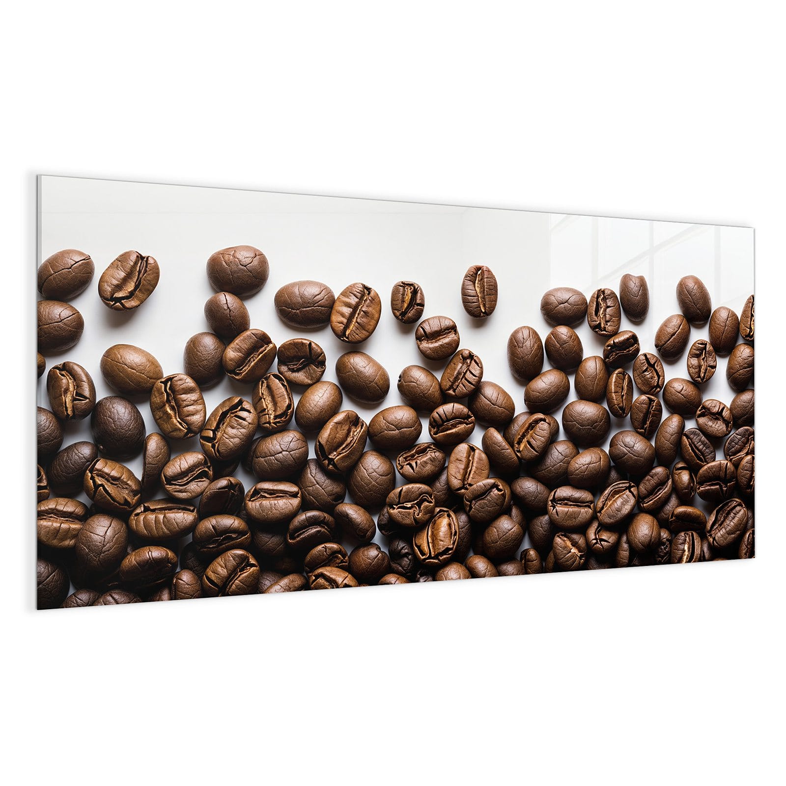 #grösse_100 x 50 cm