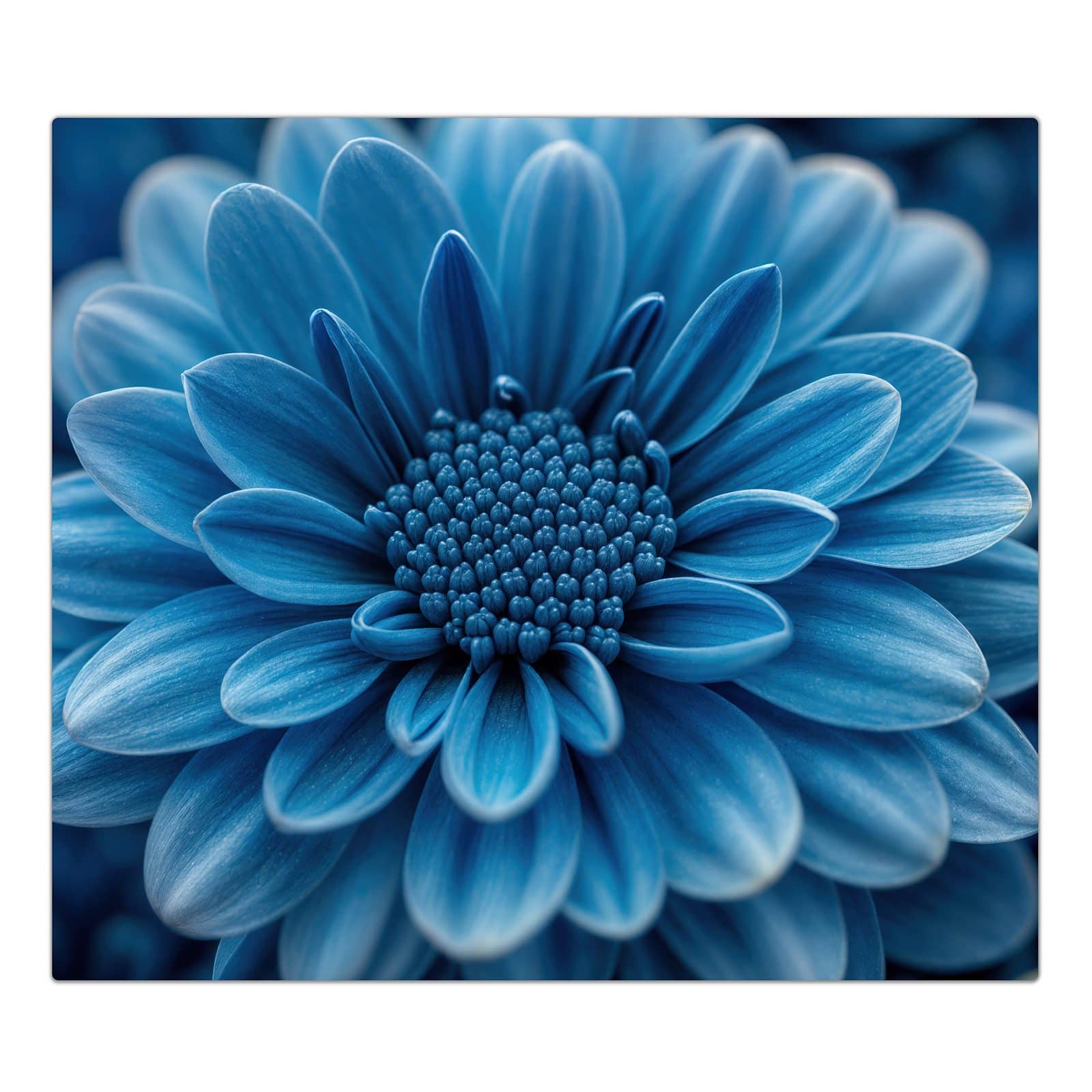 1-teilige Herdabdeckplatte aus Glas mit Blaue Blume-Motiv in der Frontansicht #grösse_1-Teilig (60x52cm)