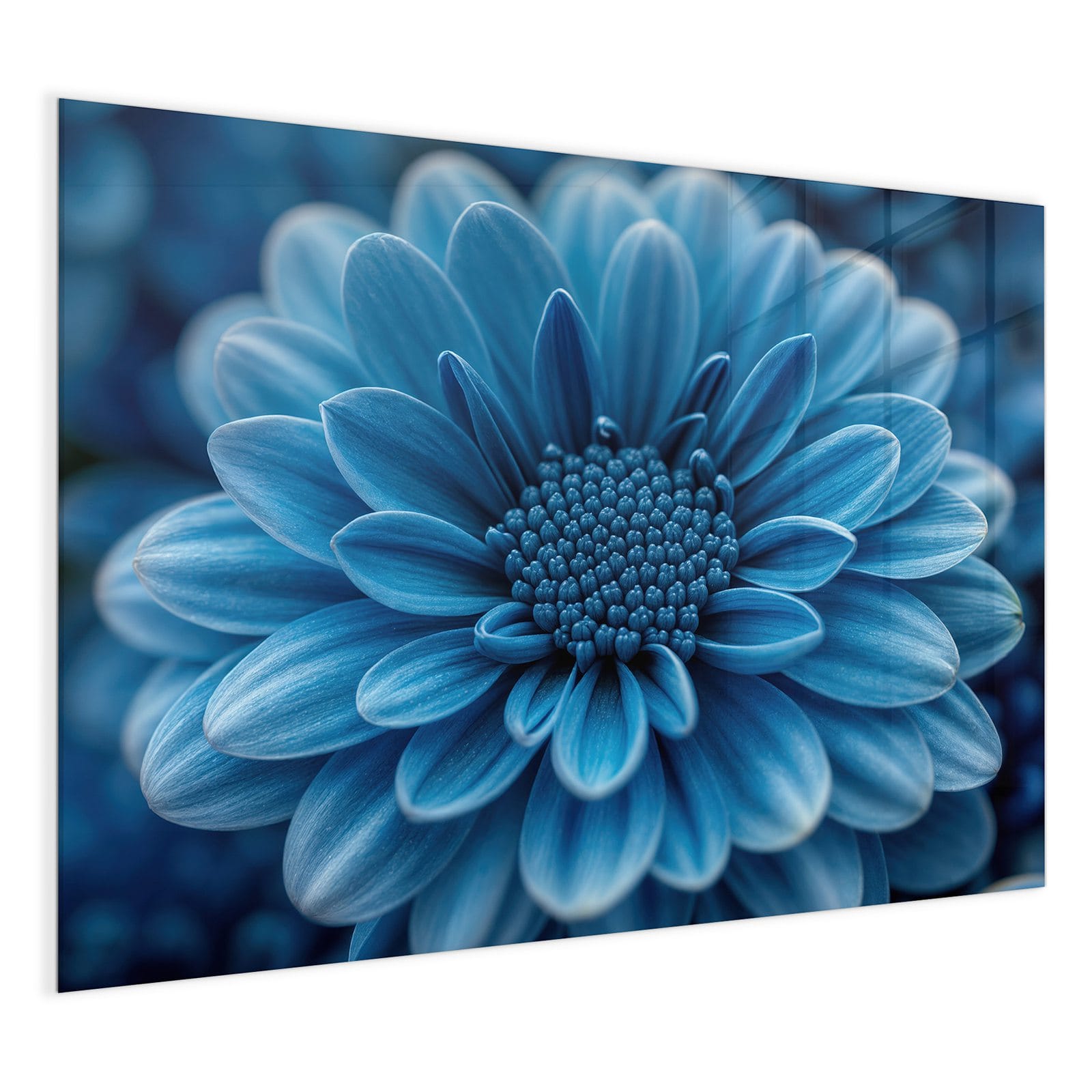 #grösse_120 x 90 cm