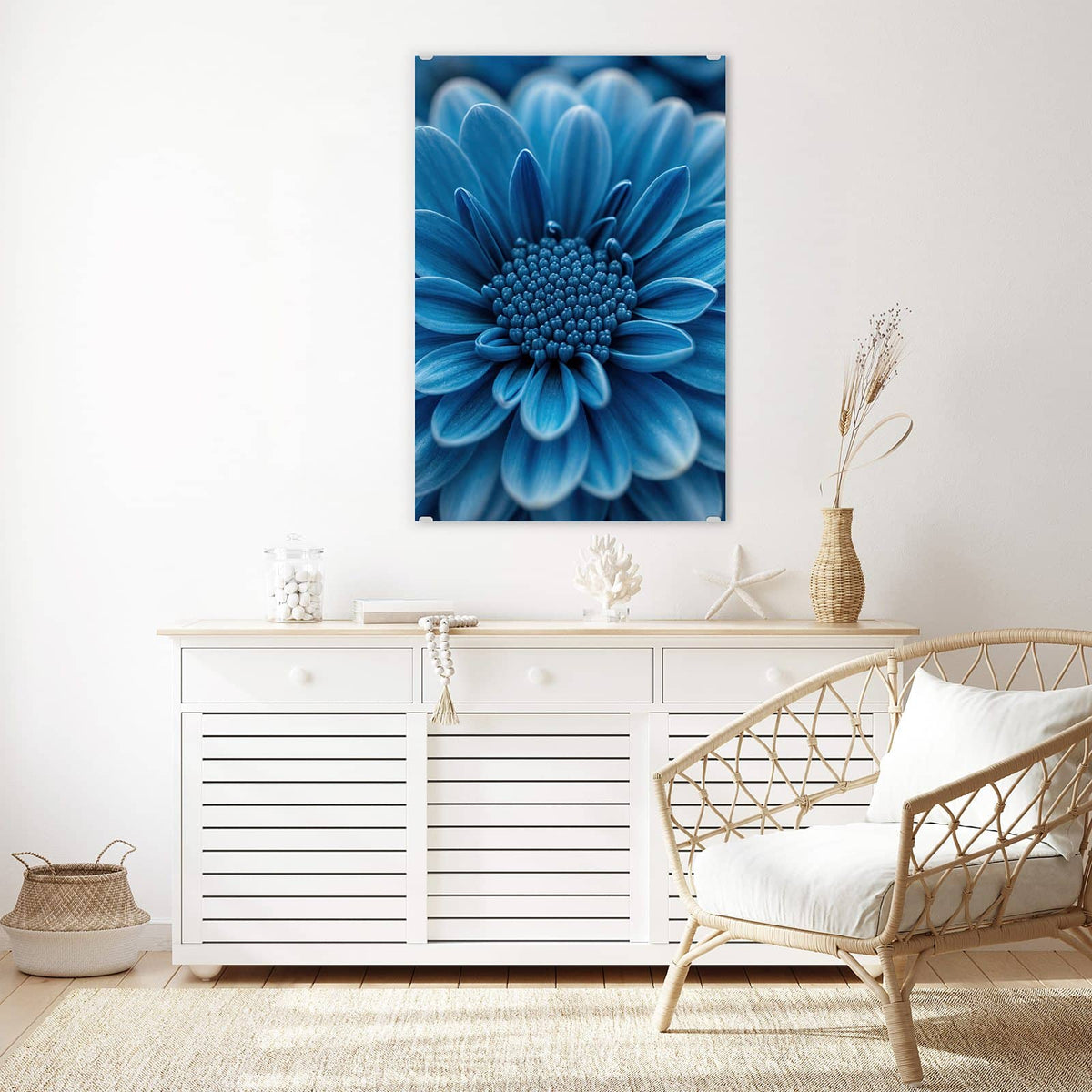 Glasbild Blaue Chrysantheme an der Wand – Makro einer dicht gefüllten, kräftig blauen Chrysanthemenblüte vor dunklem Grund.