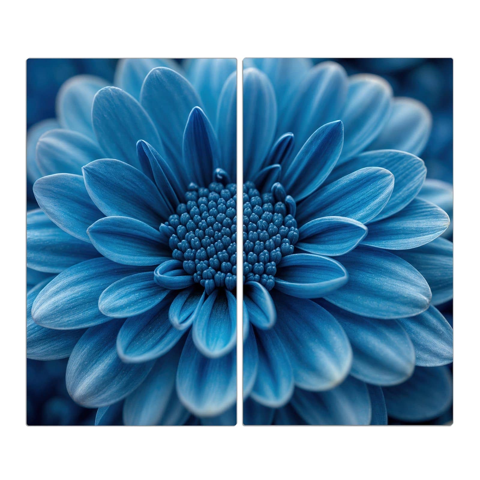2-teilige Herdabdeckplatten mit Blaue Blume-Motiv in der Frontansicht #grösse_2-Teilig (60x52cm)