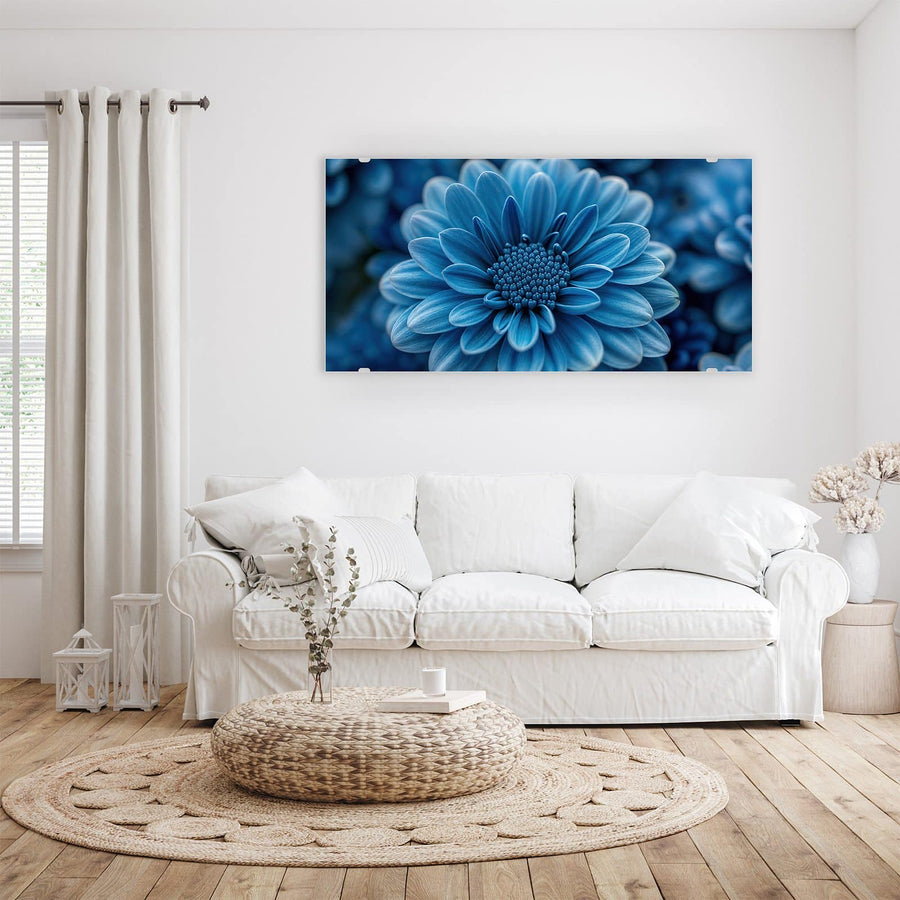 Maße Wandbild - Blaue Chrysantheme - Querformat