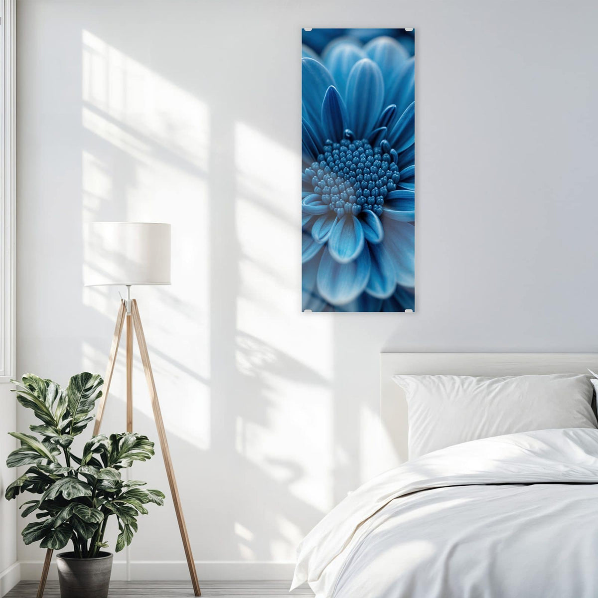 Glasbild Blaue Chrysantheme an der Wand – Makro einer dicht gefüllten, kräftig blauen Chrysanthemenblüte vor dunklem Grund.