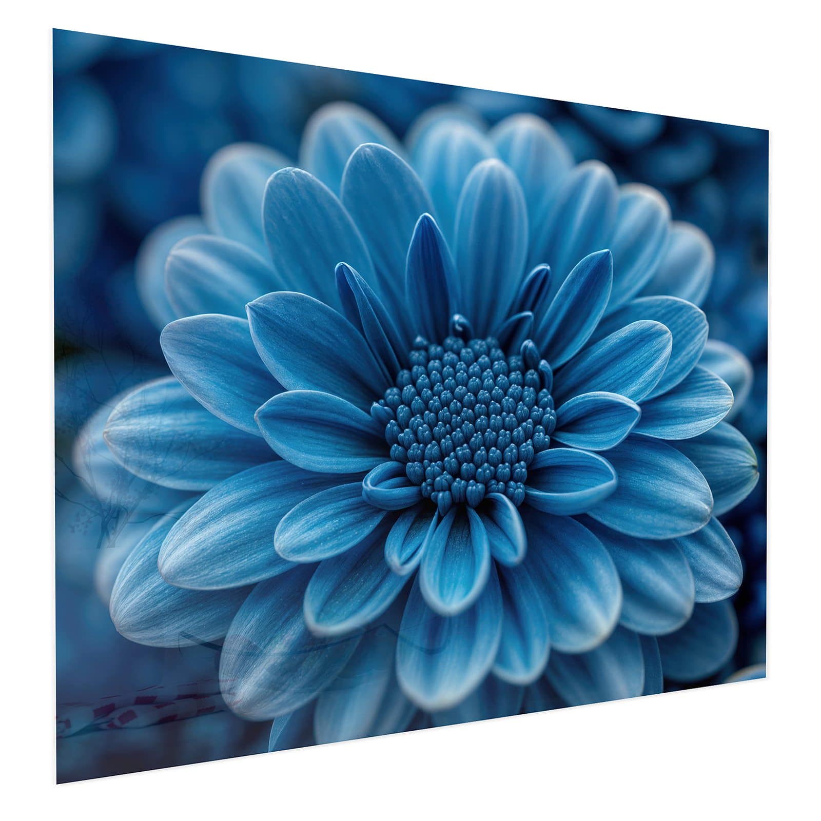 #grösse_75 x 60 cm #grösse_100 x 80 cm