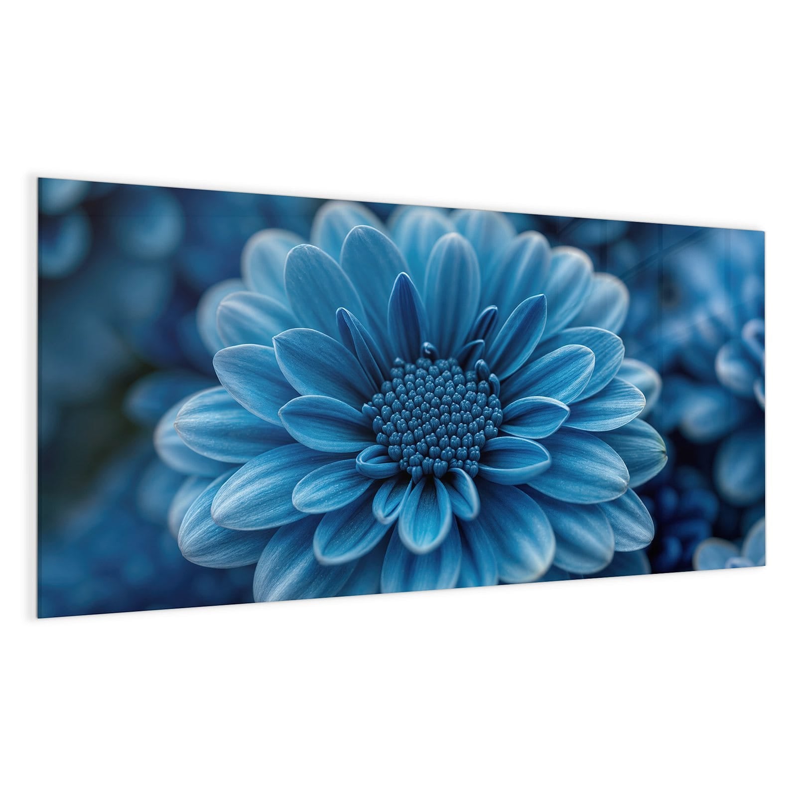 #grösse_100 x 50 cm