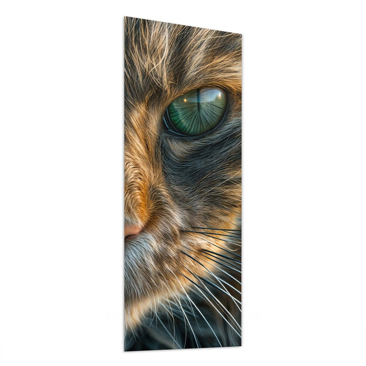 Glasbild Getigerte Katze von der Seite, 4 mm Echtglas