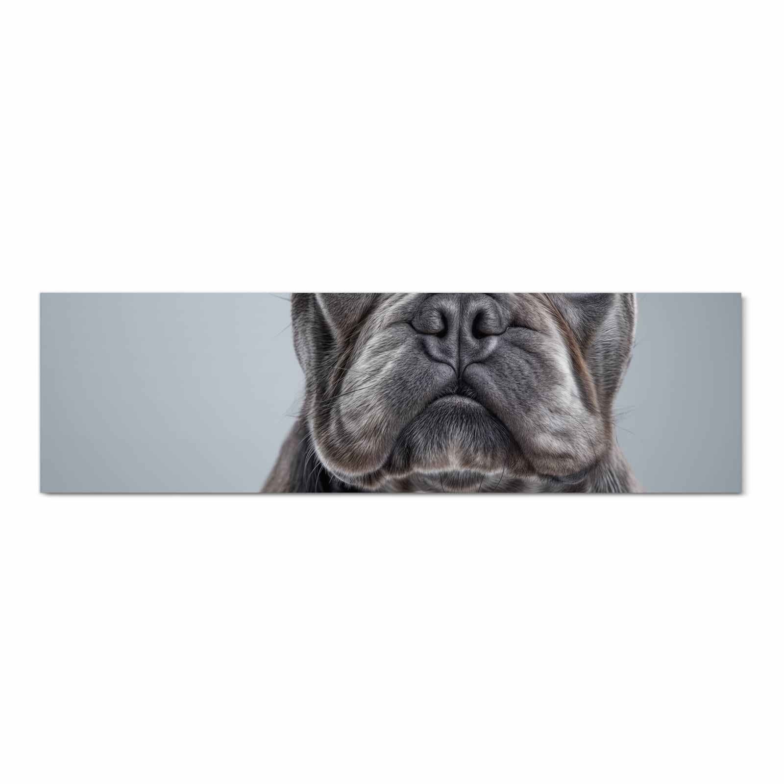 Formstabiler waschbarer Teppich fürs Esszimmer mit Motiv Französische Bulldogge in Frontansicht