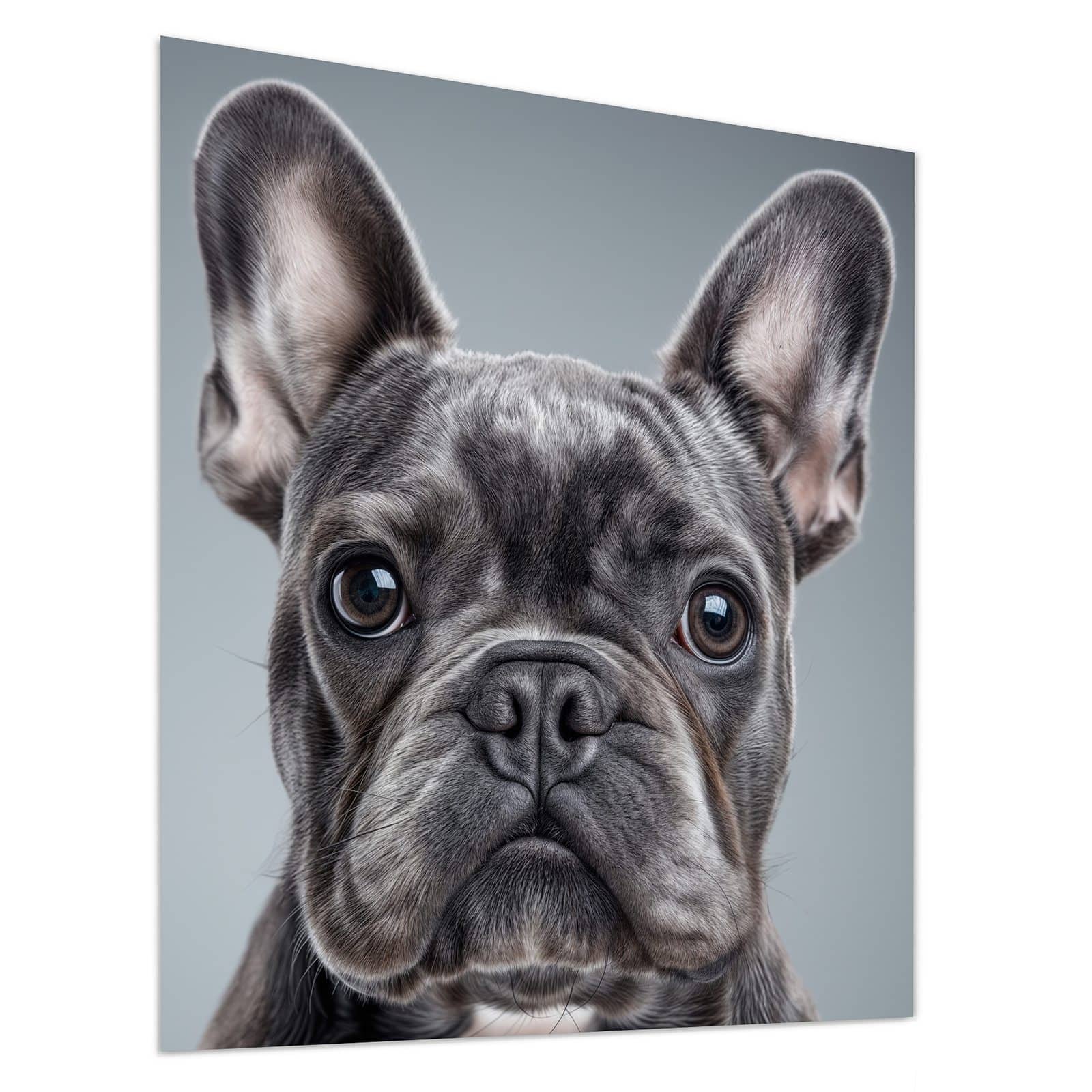 #grösse_90 x 100 cm