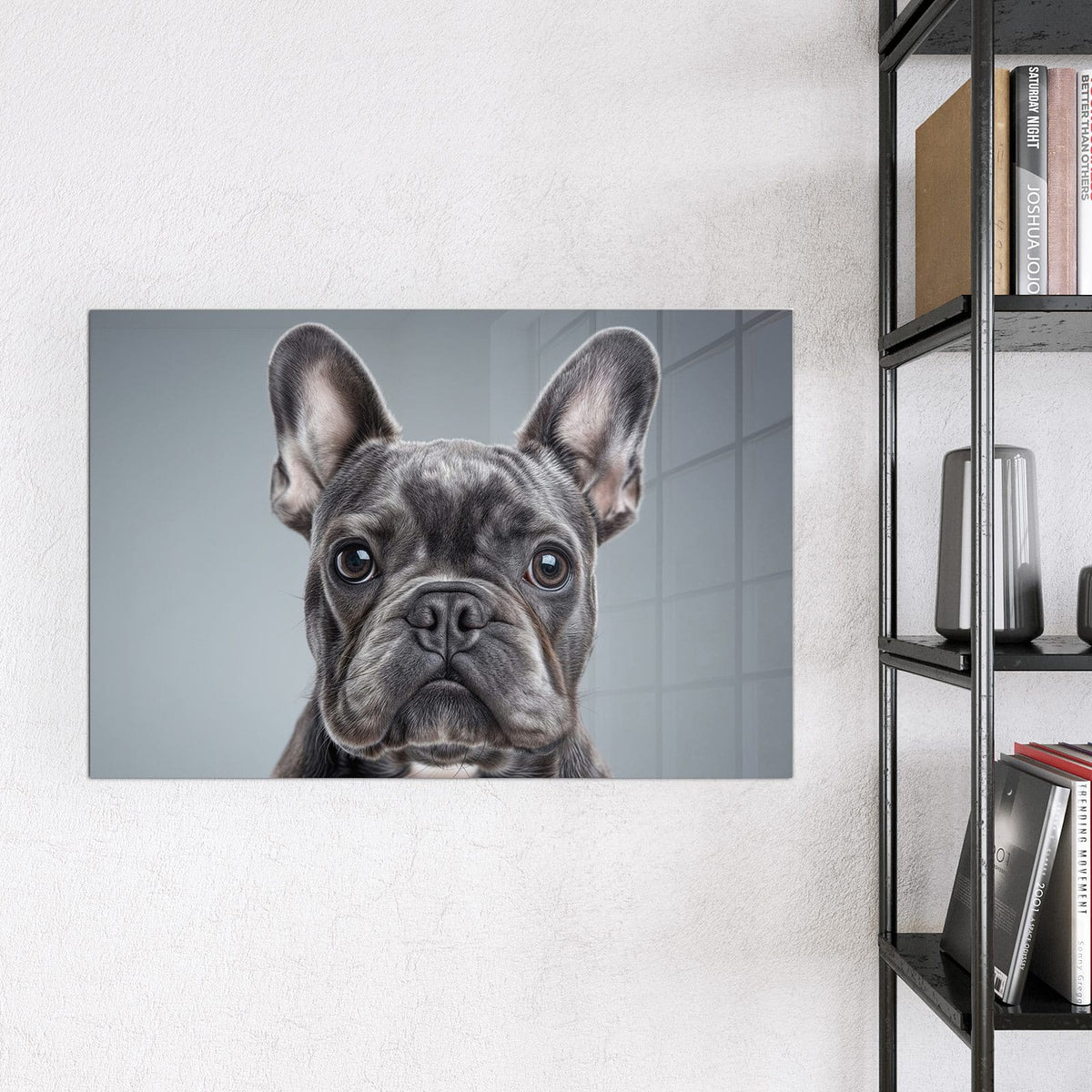 Magnettafel - Französische Bulldogge – Französische Bulldogge mit direktem Blick
