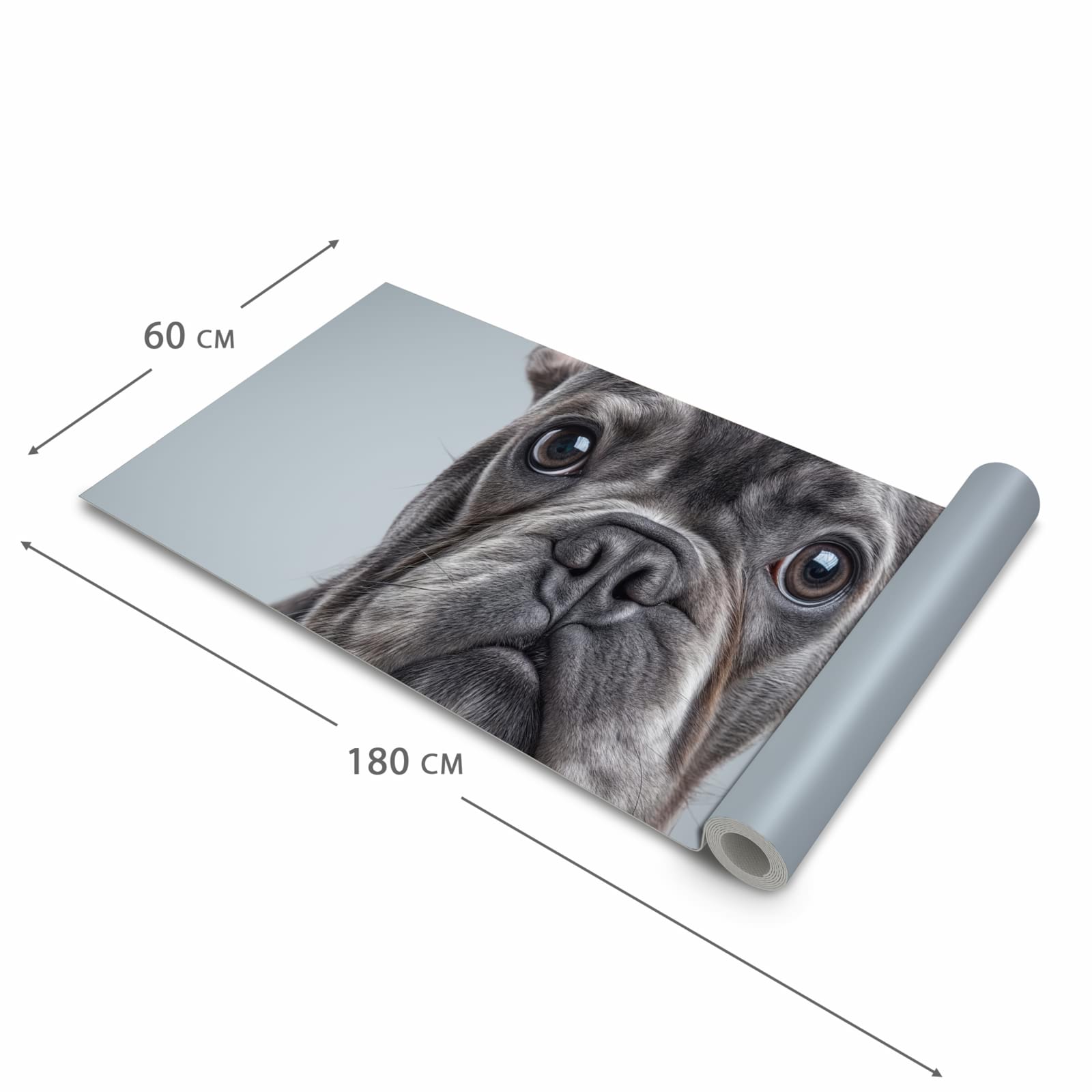 Langlebiger dünner Küchenteppich mit Motiv Französische Bulldogge in der Grösse 90x240 cm