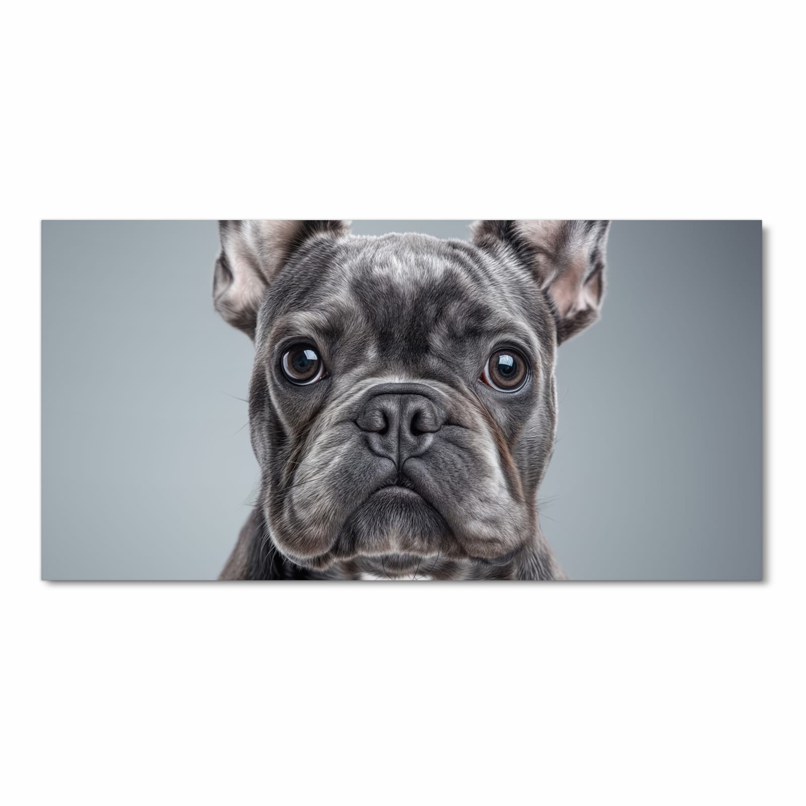 Waschbarer Küchenläufer mit Motiv Französische Bulldogge in Frontansicht