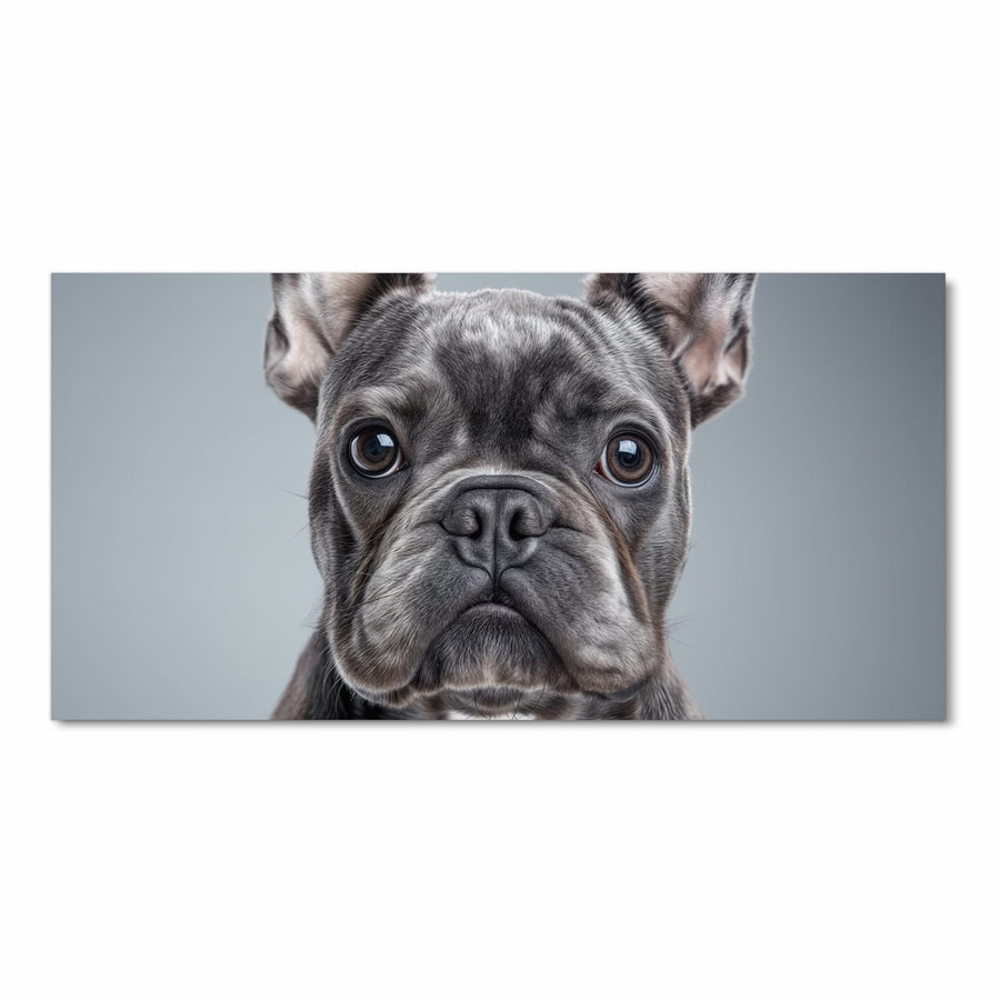 Maße Küchenläufer - Französische Bulldogge