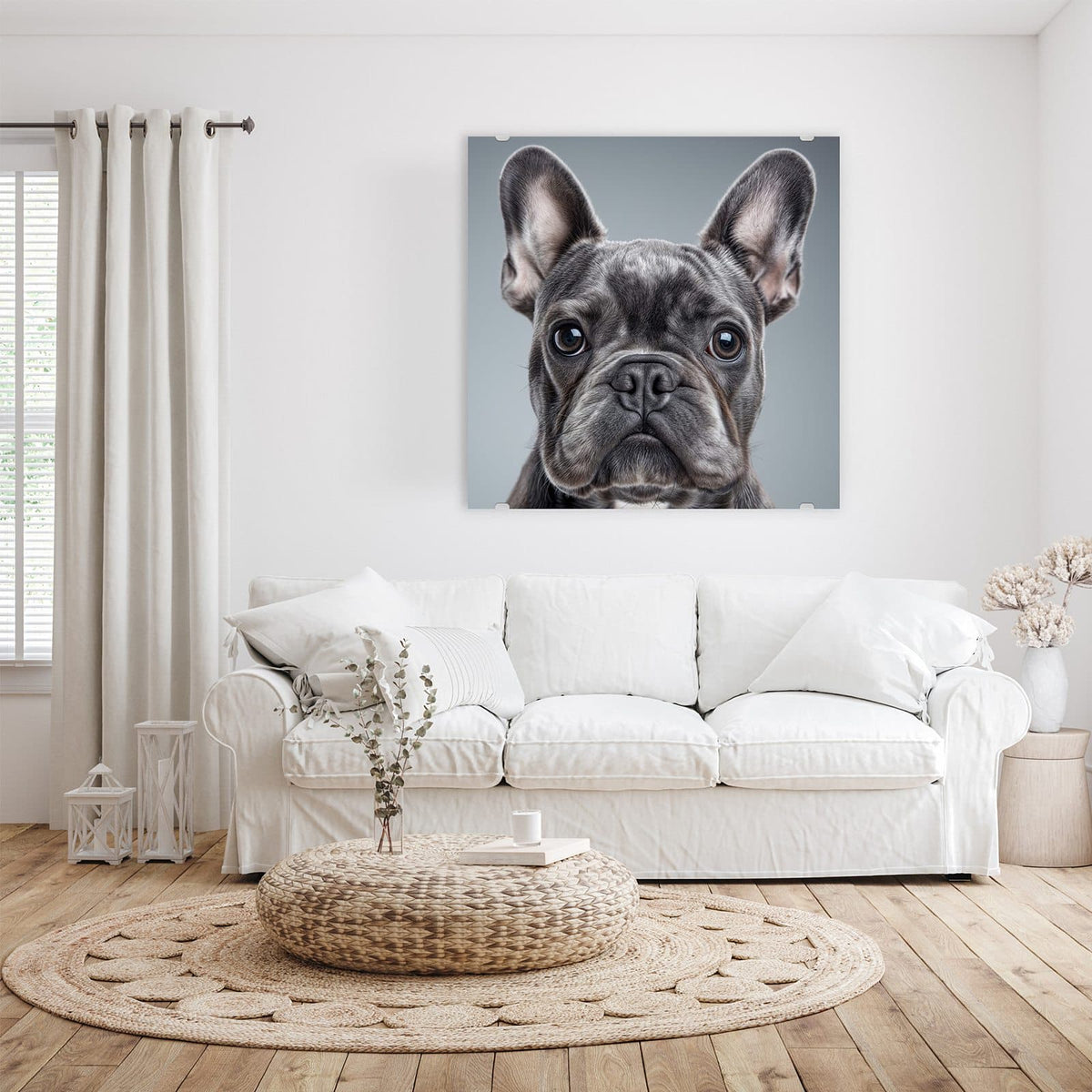 Glasbild Französische Bulldogge an der Wand – Graue Französische Bulldogge frontal, Kopf formatfüllend vor hellgrauem Hintergrund