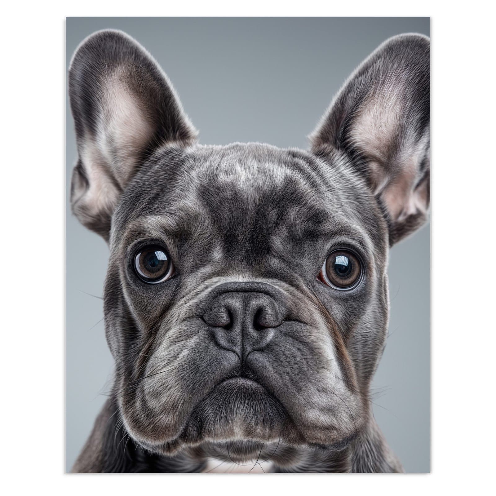 #grösse_60 x 75 cm #grösse_80 x 100 cm